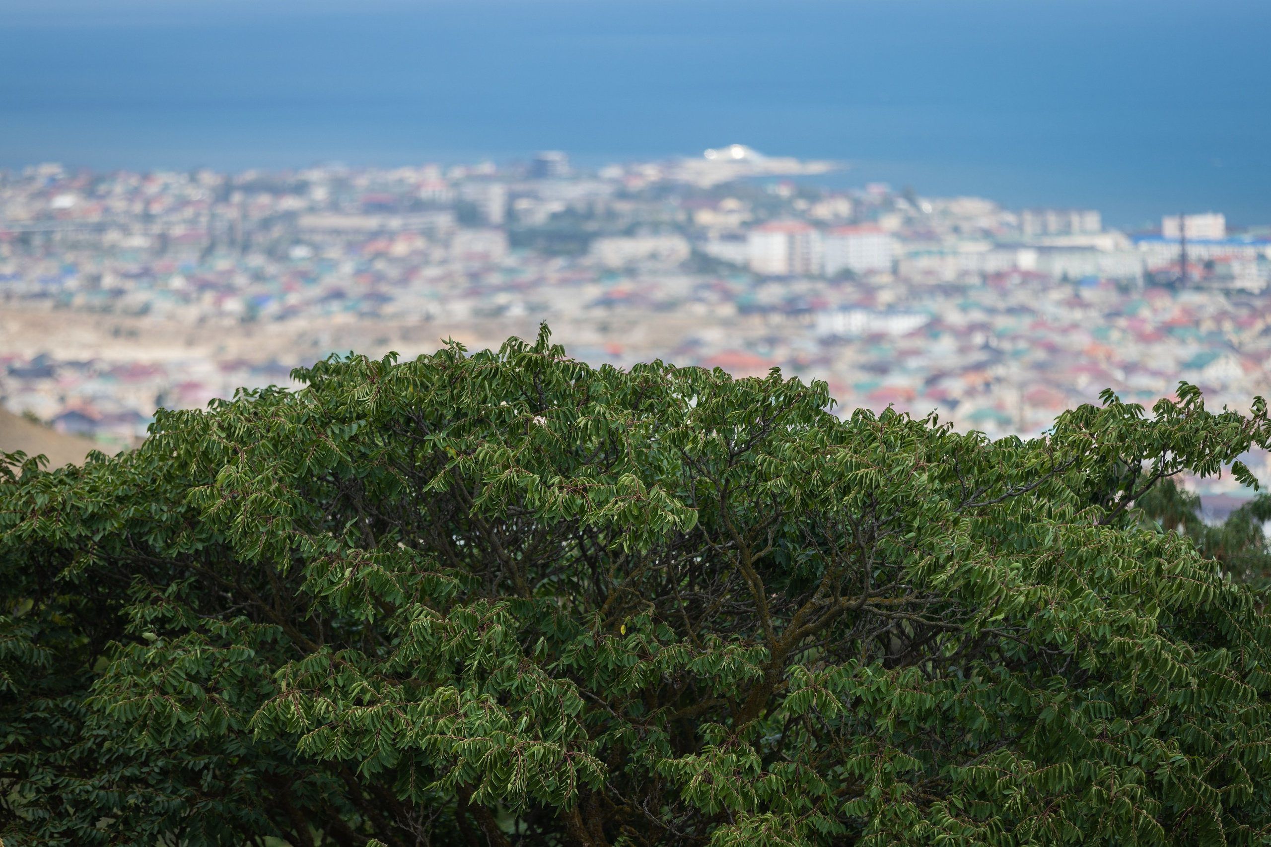 Дербент. Фотограф Владимир Охрименко