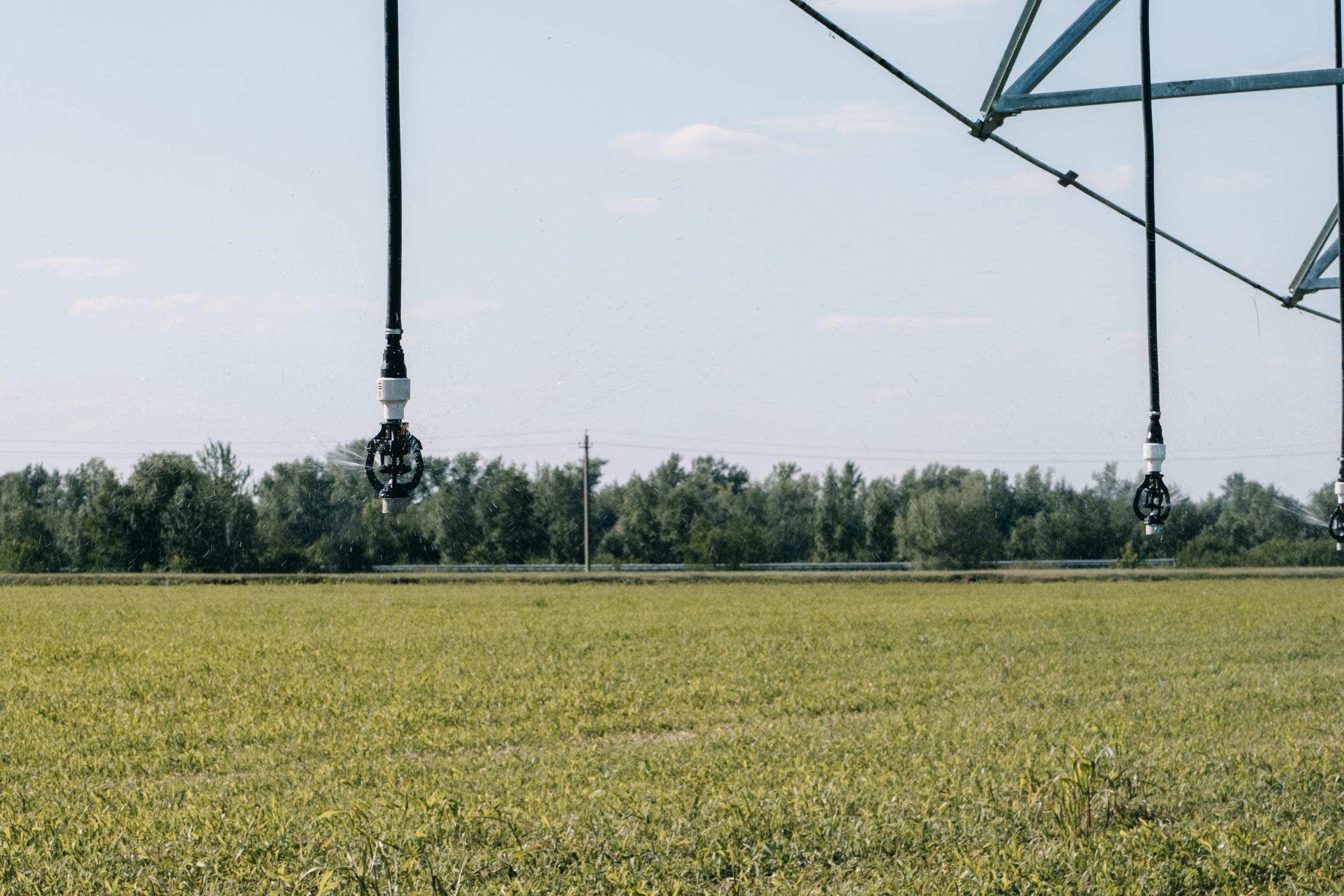 Фестиваль «Самарский день поля» в Угорье. Фотограф Сергей Логинов