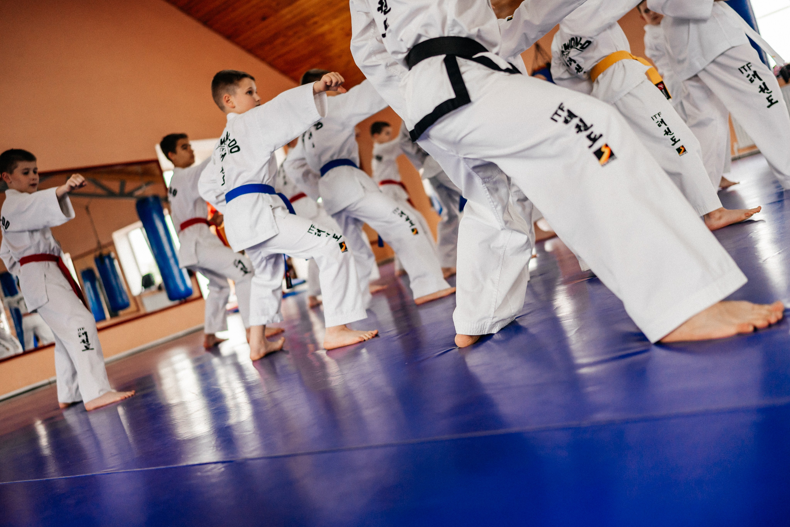 Съемка спортивных мероприятий. Taekwondo/2023. Семейный фотограф в Москве Ирина Жур