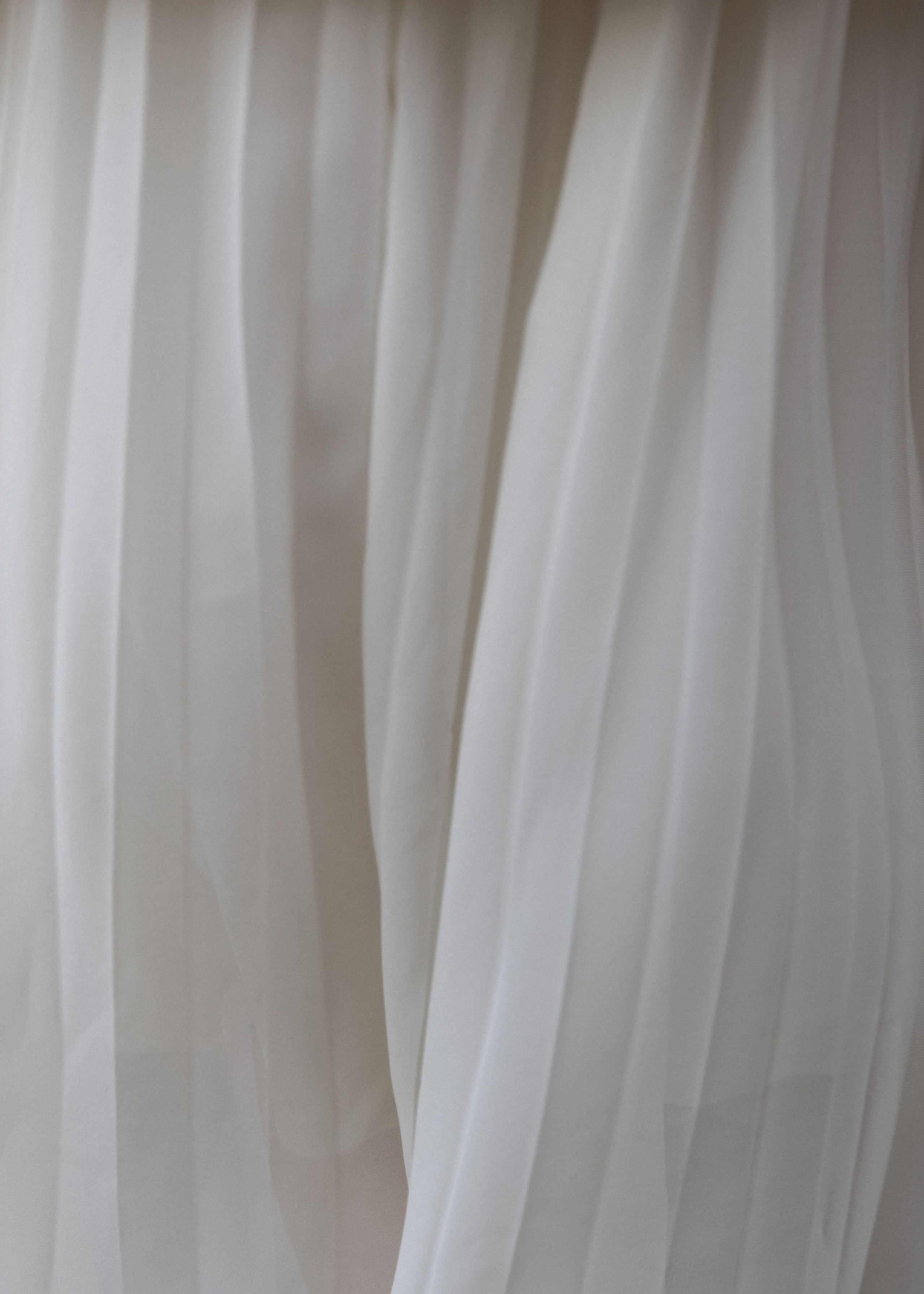 Парадная Ромашка. Фотограф Вышний Волочек/Тверь/Москва/Санкт-Петербург