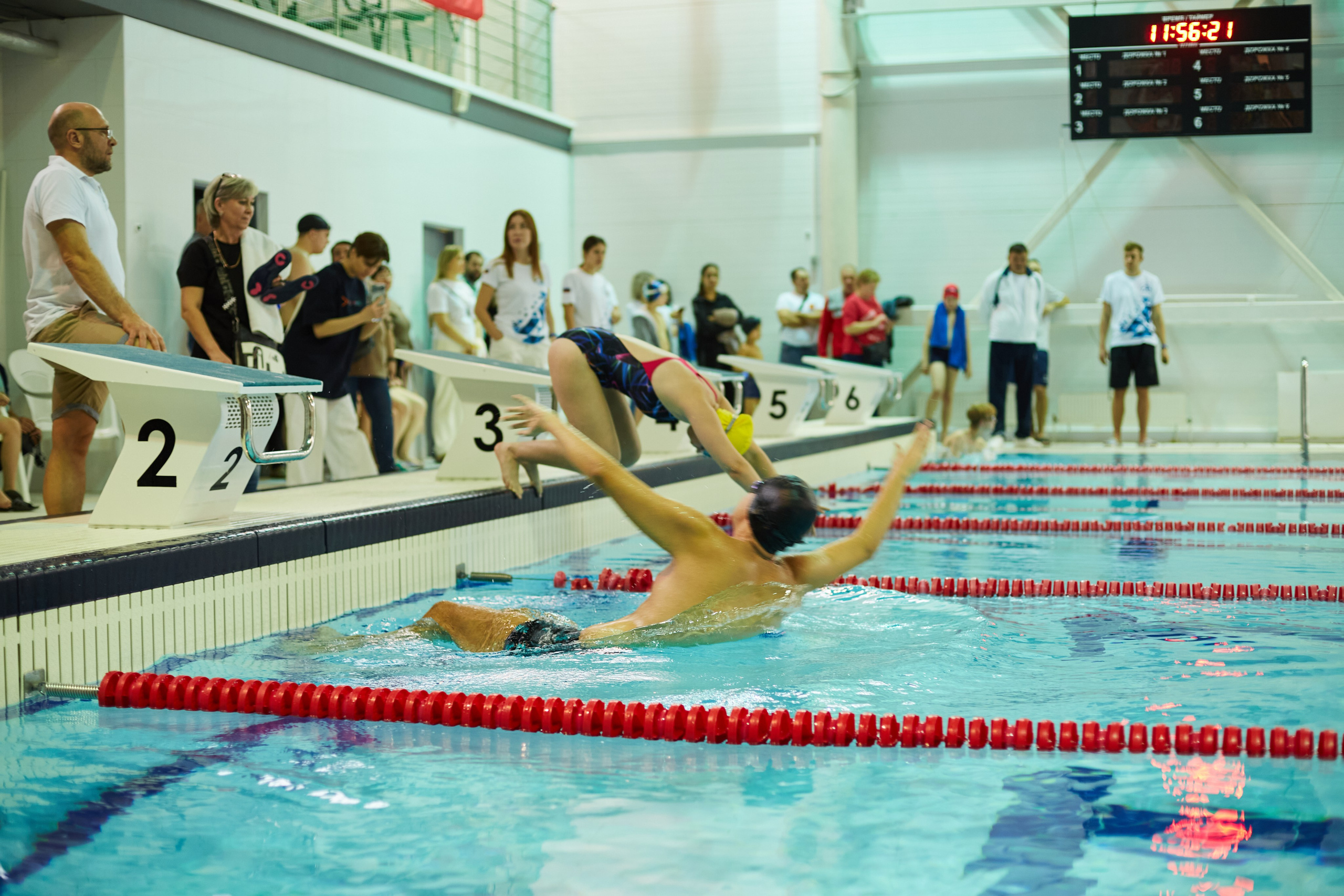 Особенный заплыв, Аксай, дворец спорта. Фотограф Зиновьев Михаил. Фотограф Зиновьев Михаил