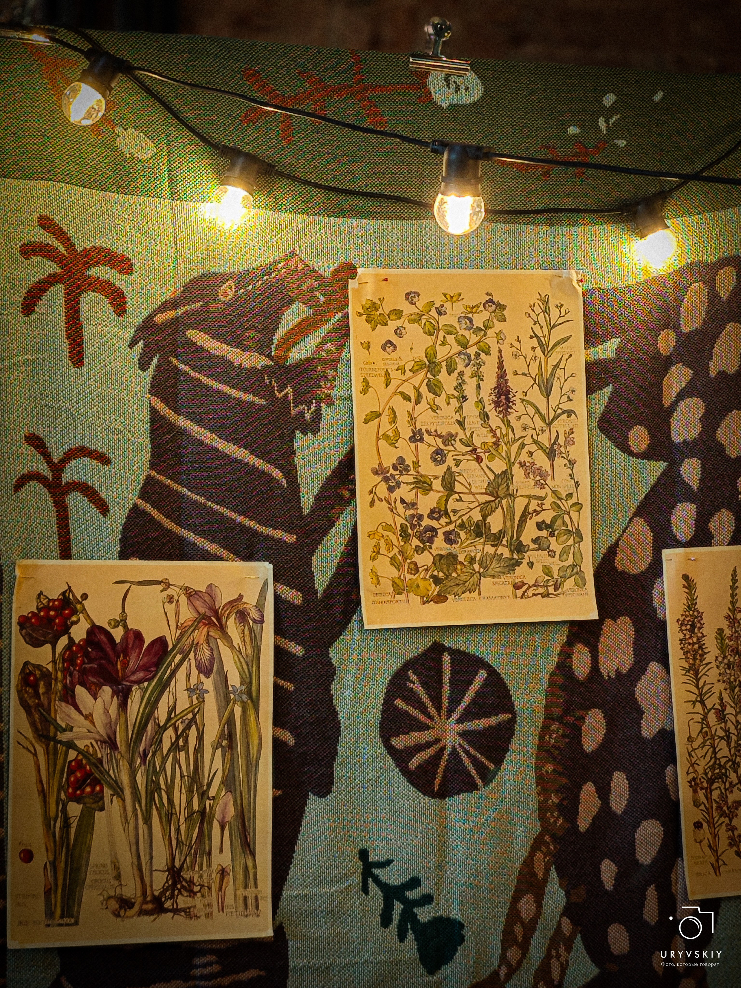 Арт пространство «Хлебзавод». Игорь Урывский. Фотограф Красноярск