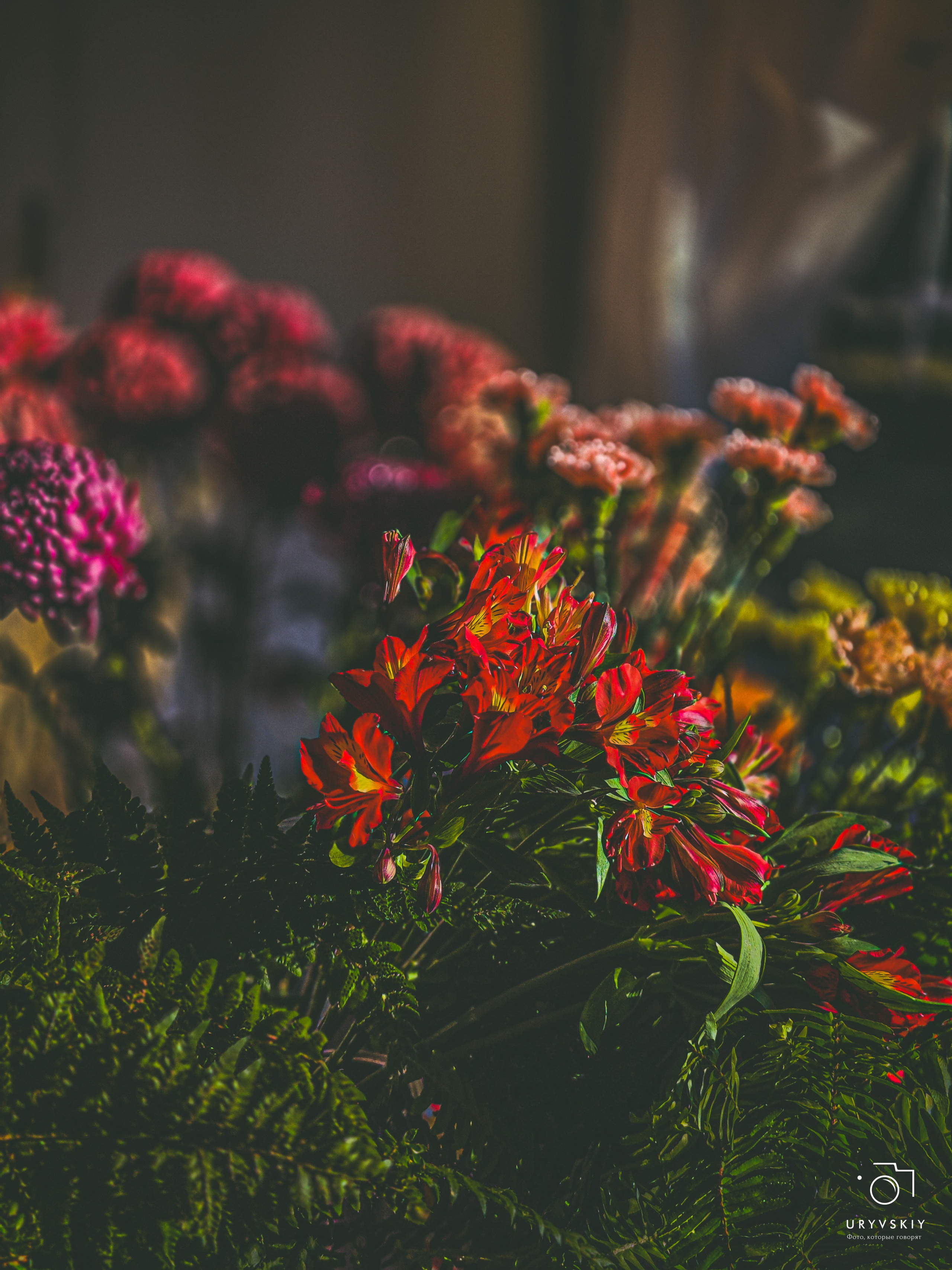 Bellini Осенний маркет. Игорь Урывский. Фотограф Красноярск