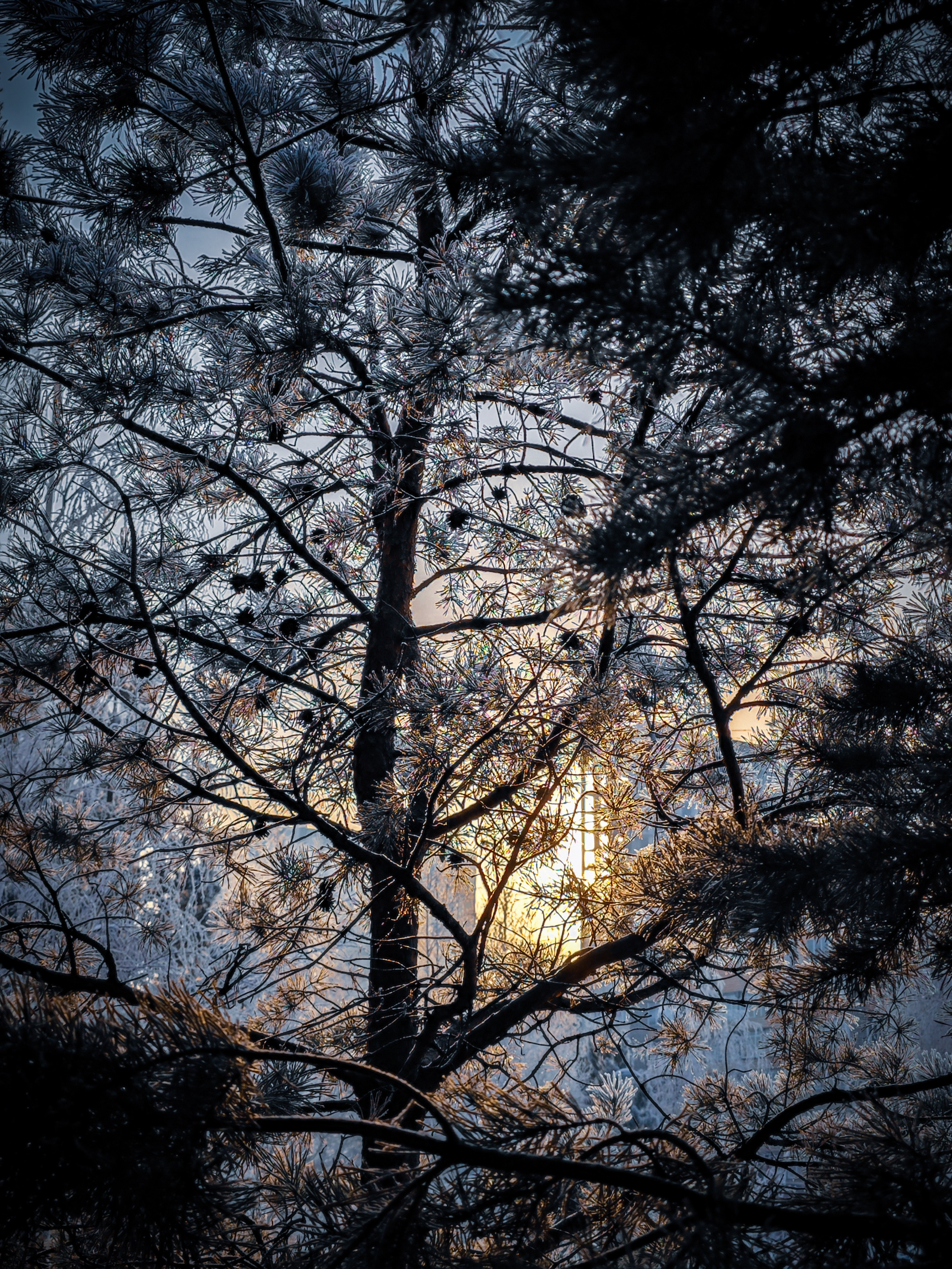 Скоро лето. Игорь Урывский. Фотограф Красноярск