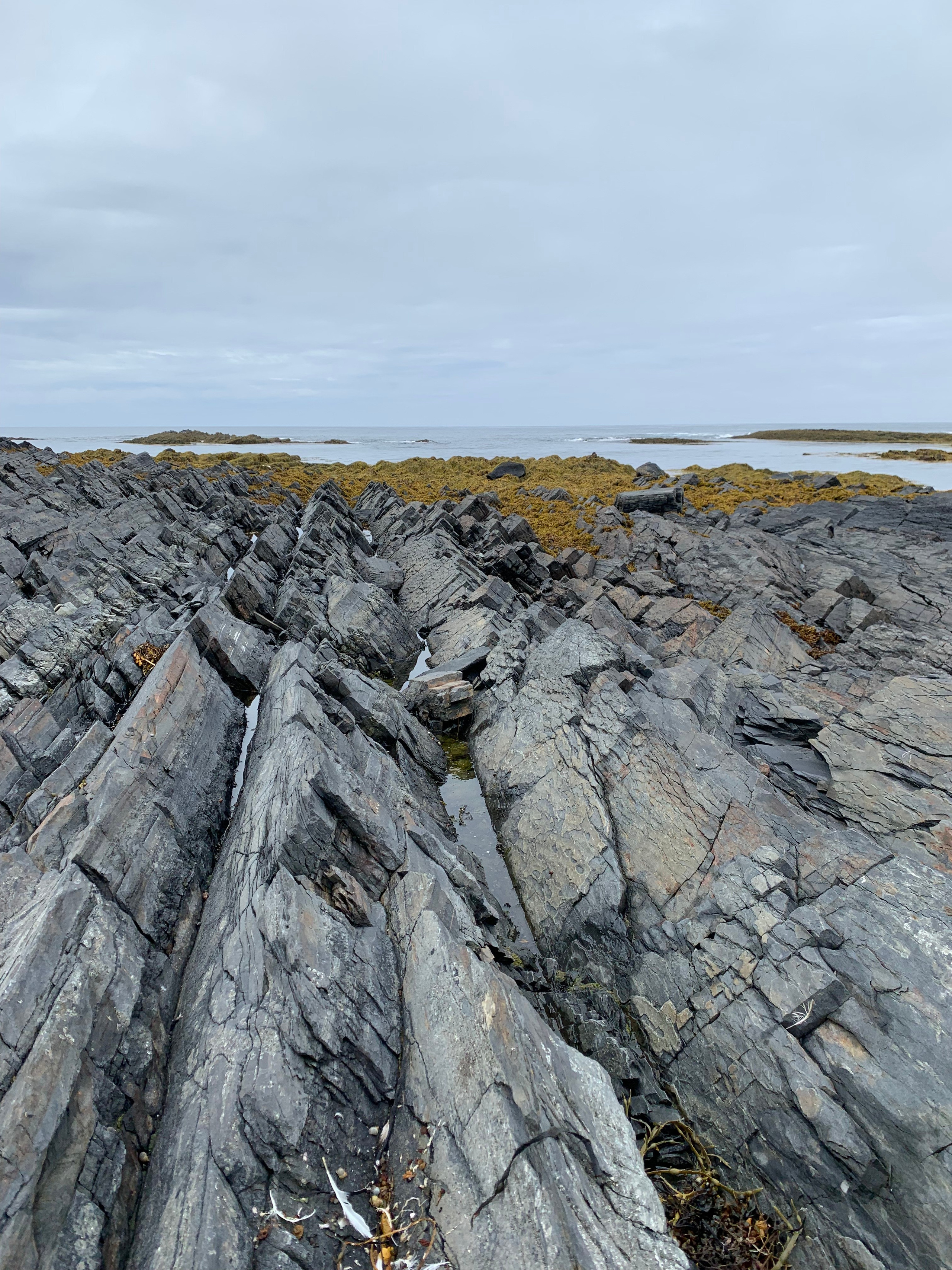 Рыбачий, Кольский — 20. Своя Мастерская