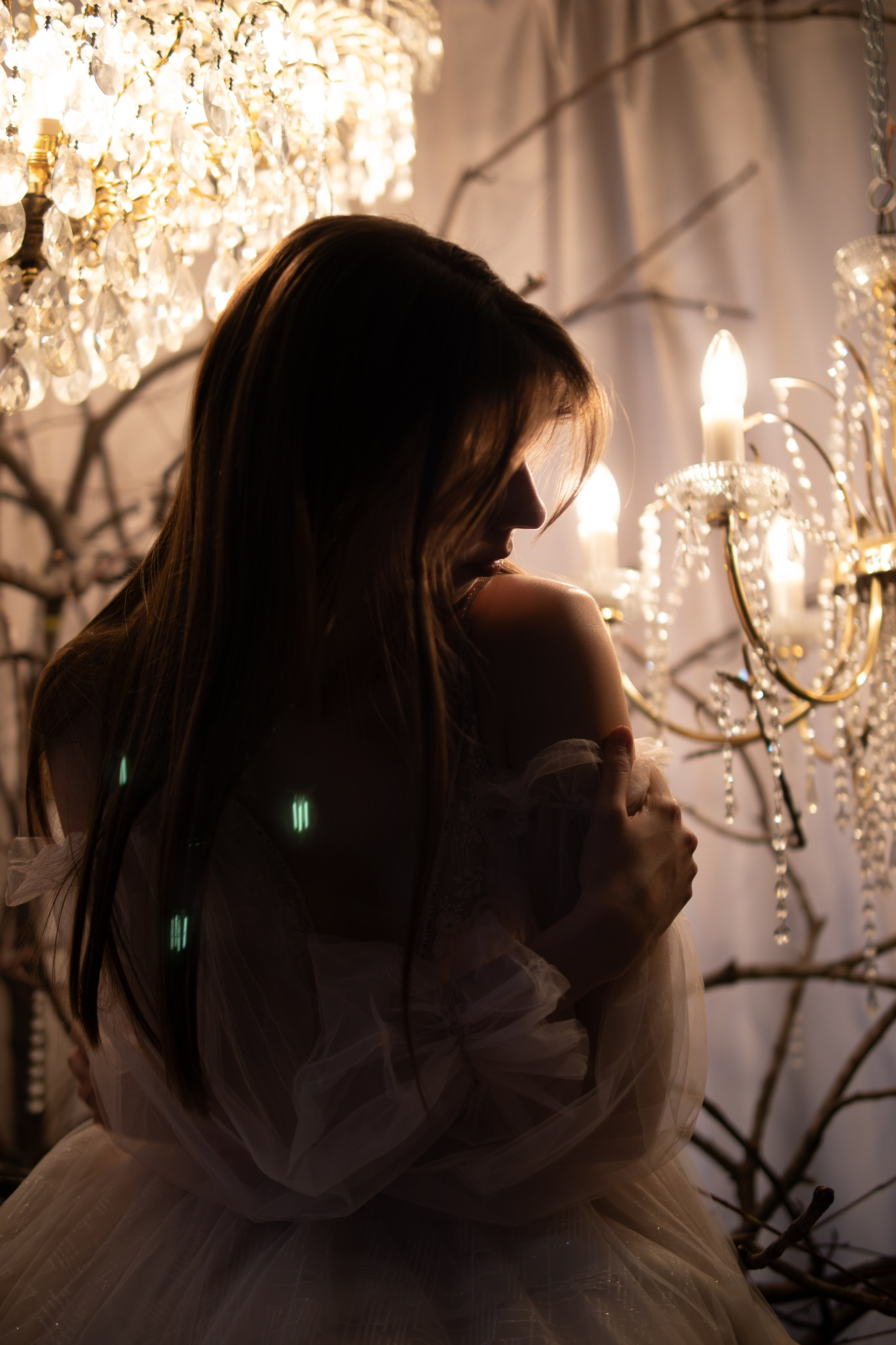 Где живут птички. Фотограф Москва