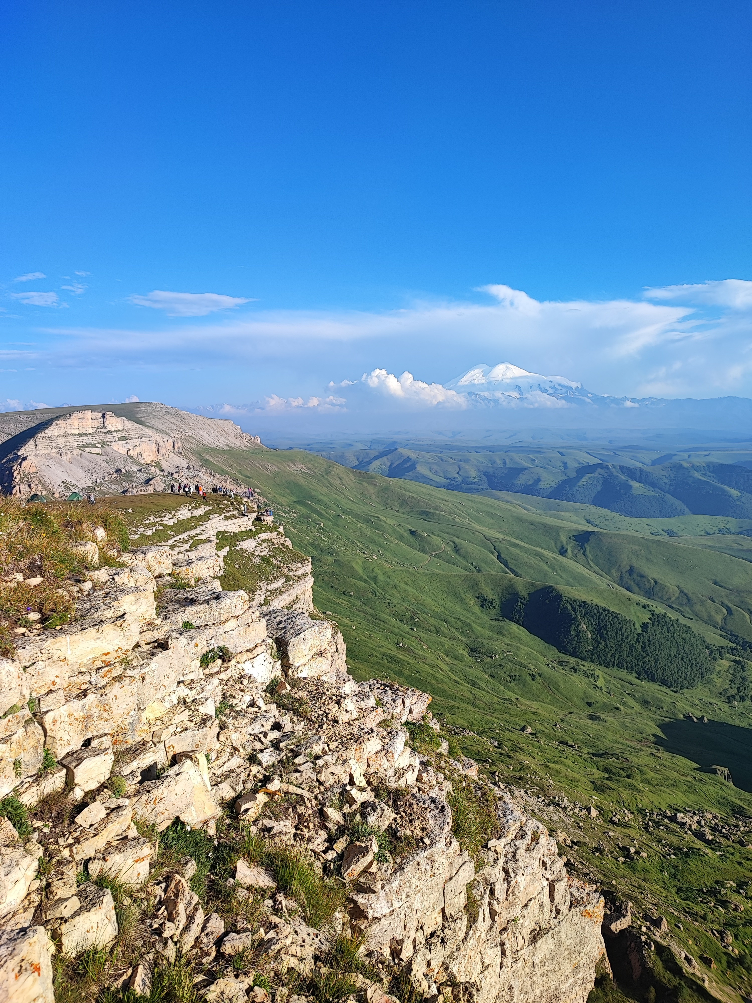 Намобилкус кавказский. Репортажный фотограф Алексей Пирязев