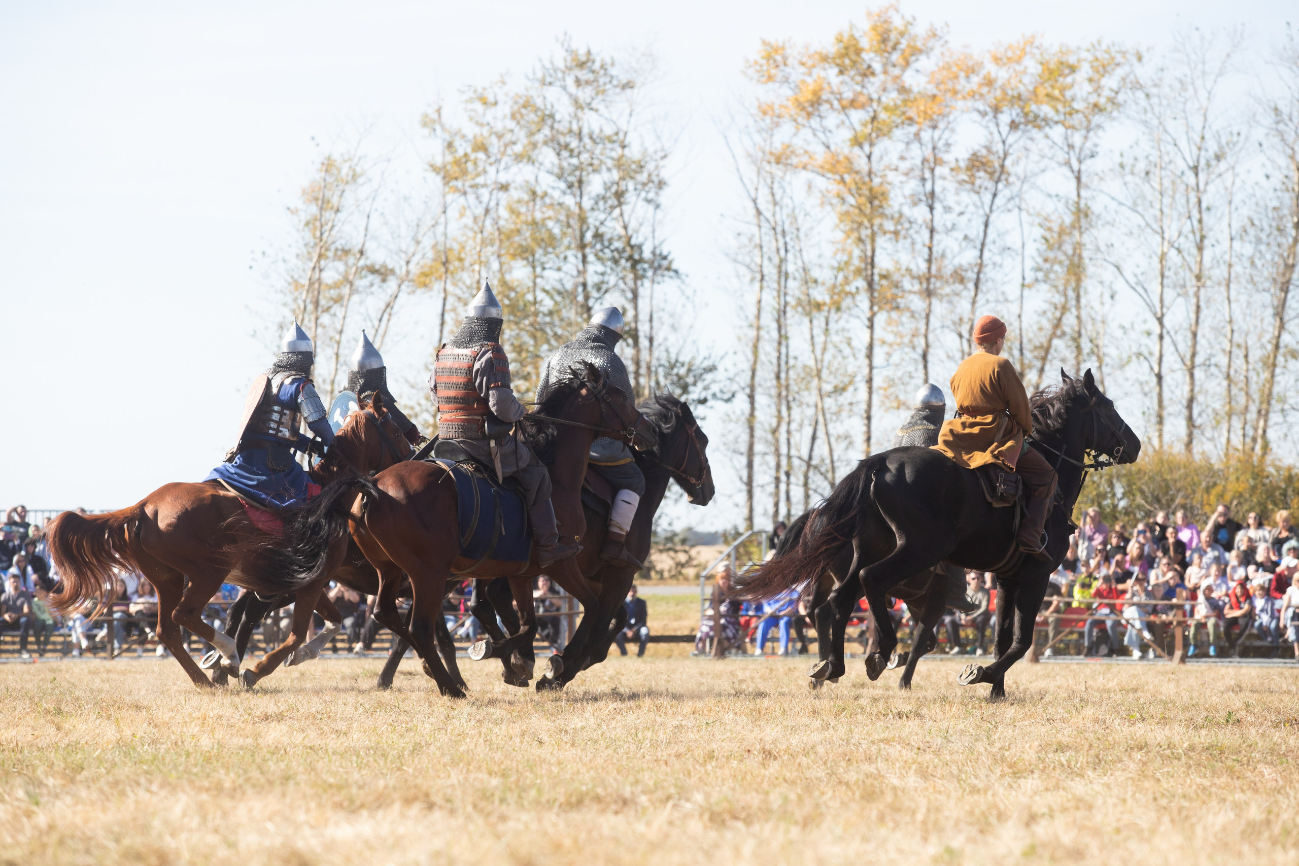644-я годовщина Куликовской битвы (21 сентября 2024). Репортажный фотограф Алексей Пирязев