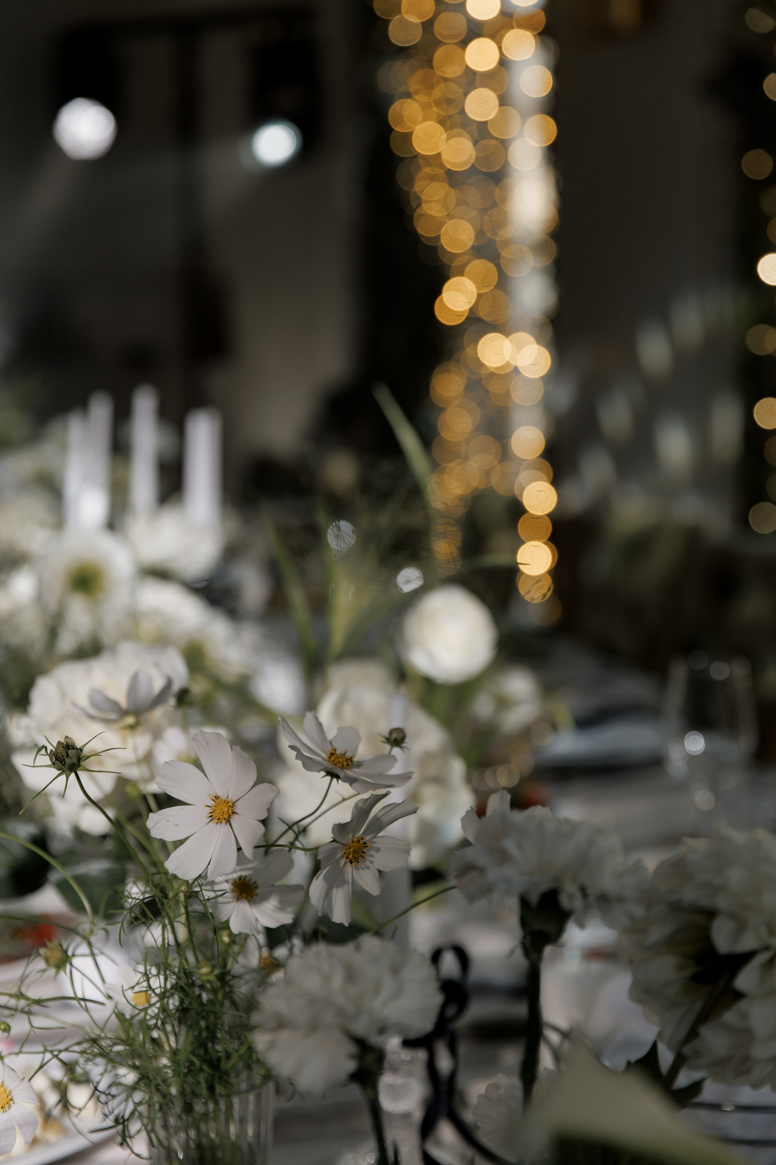 Антон и Света 2024. Свадебный фотограф в Москве, Ярославле Виталий Квант