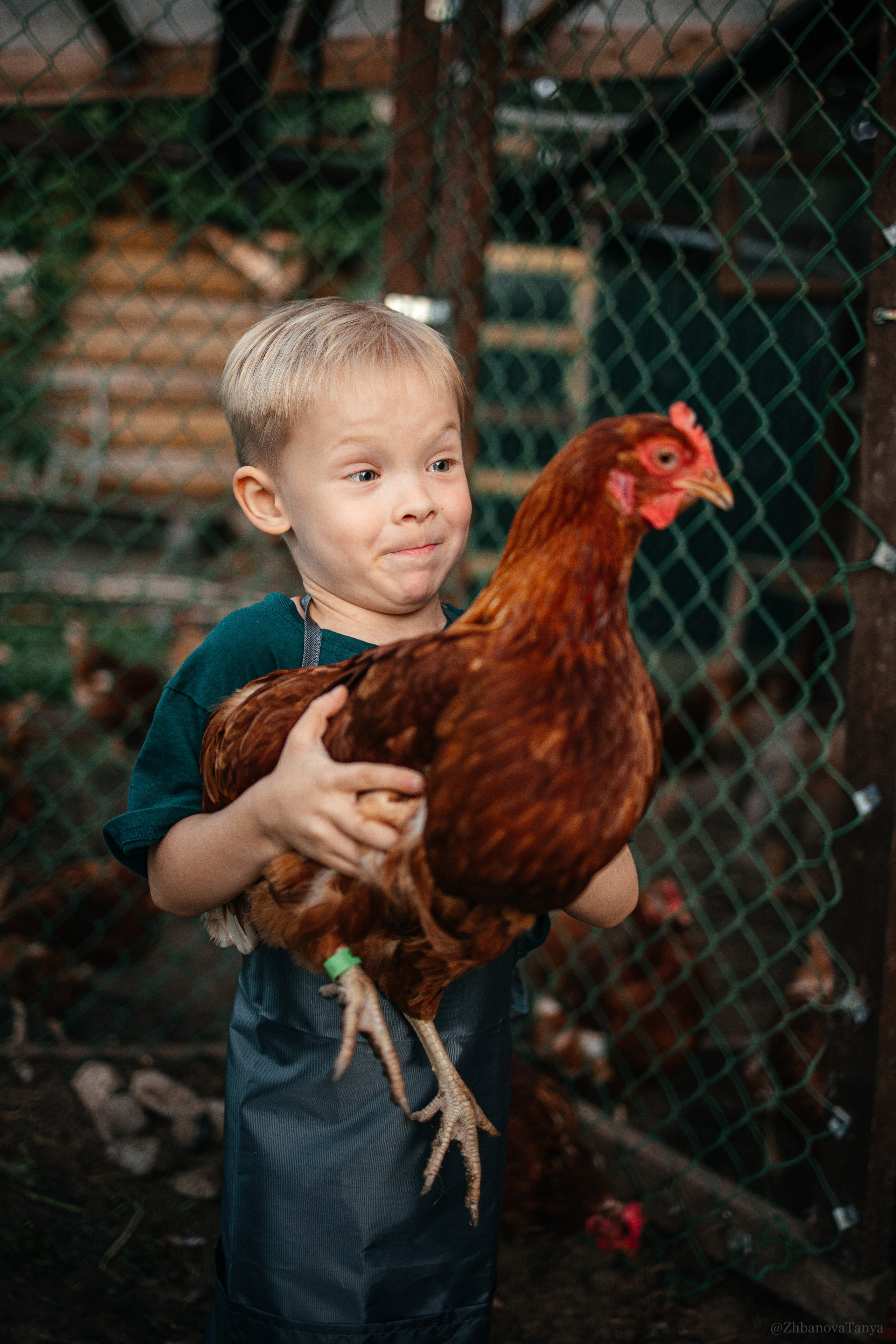 Семья/ беременность/ дети. Фотограф Татьяна Жбанова