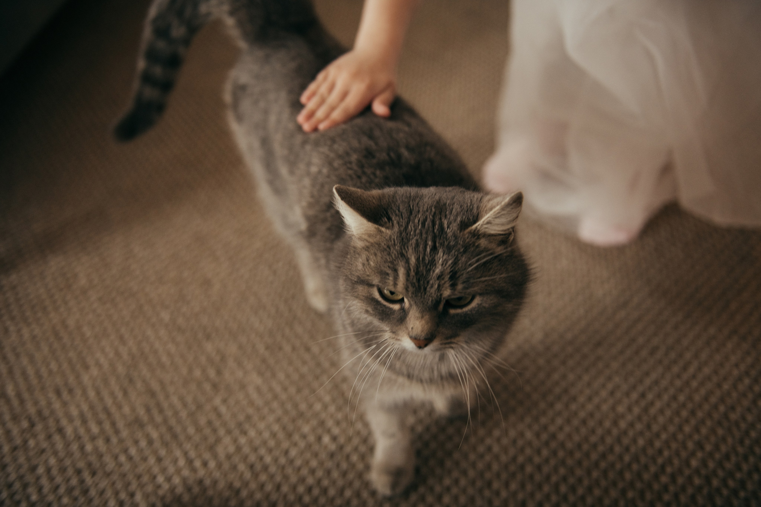 Я и мама. Свадебный и семейный фотограф Алиса Полякова |Старый Оскол | Воронеж