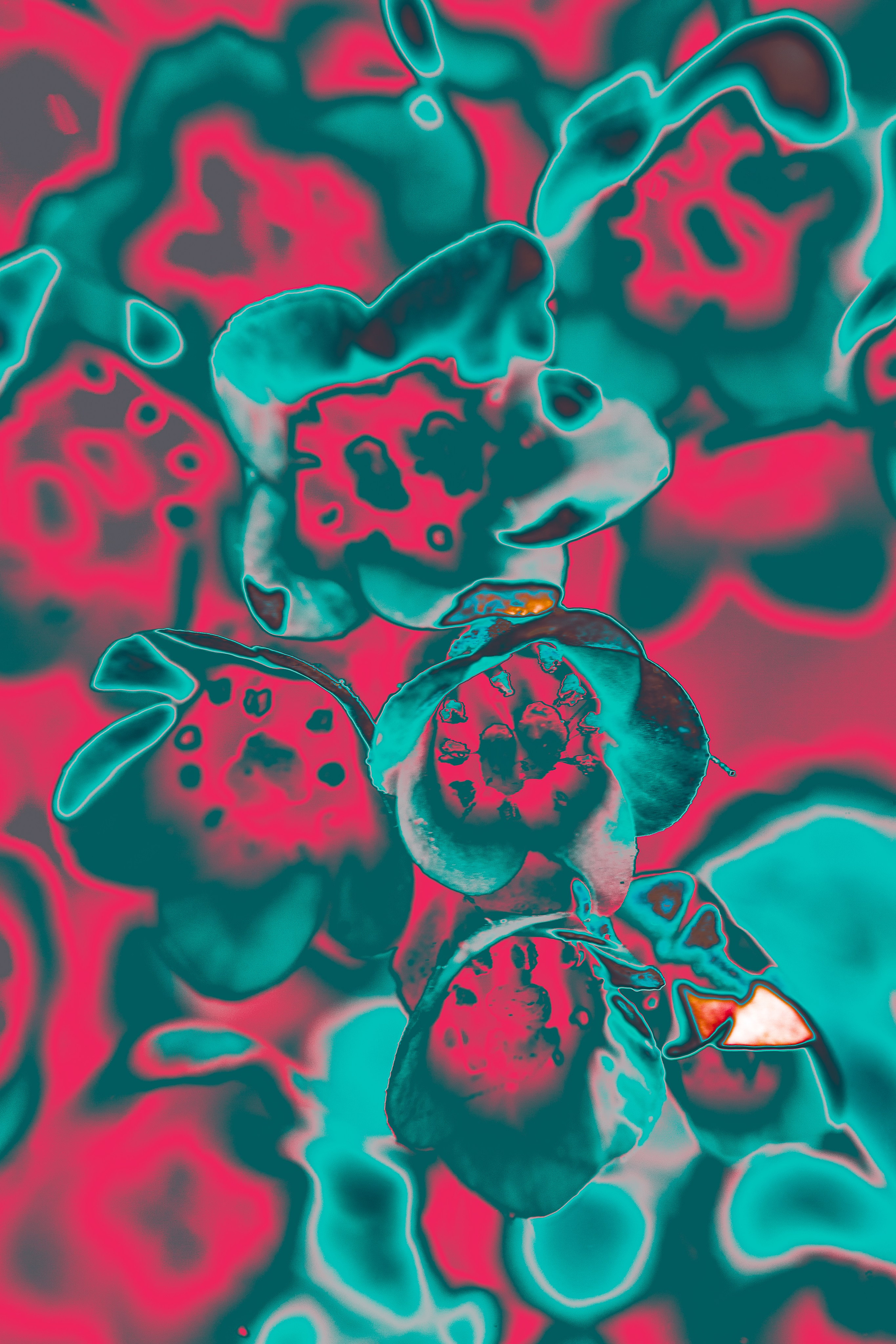 NON-EXISTENT FLOWERS. Фотограф Евгений Чащихин RGB АРХИТЕКТОР в Перми