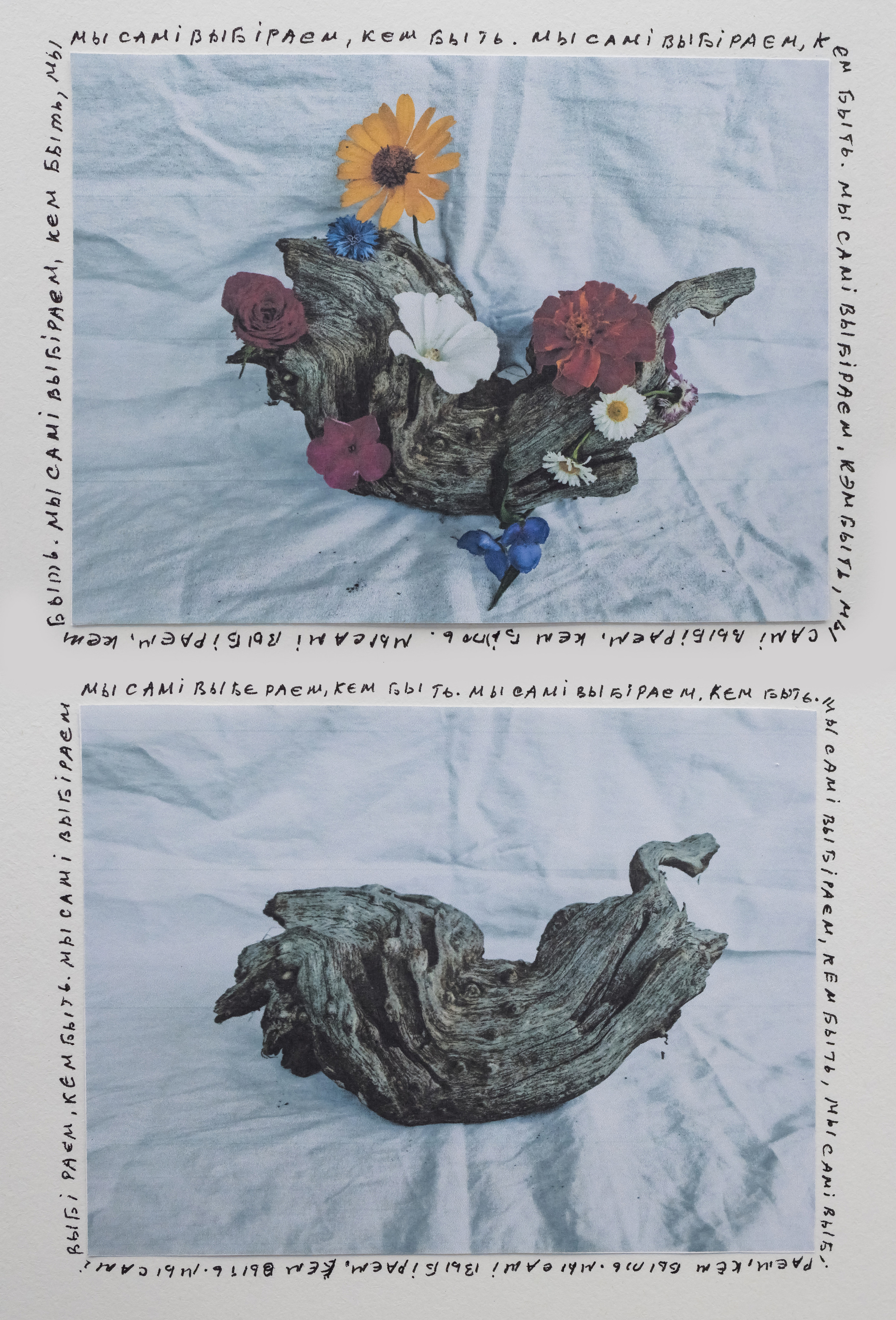 ТЕЛО. Ангелина Богданова, междисциплинарная художница