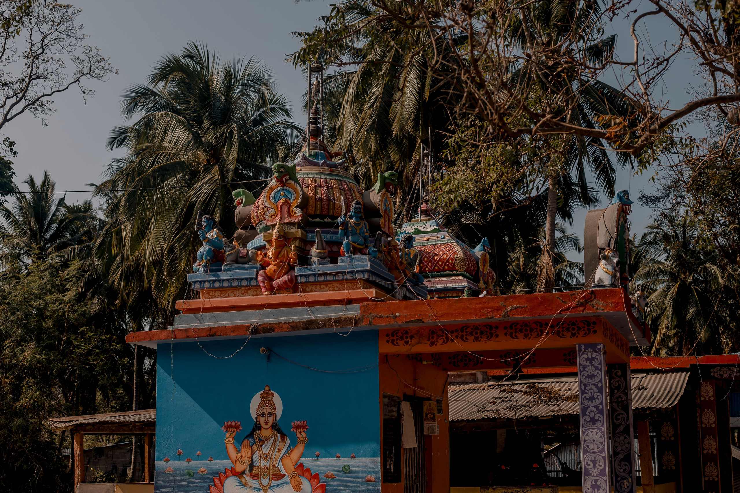 Andaman Islands, Part2. Art Photographer