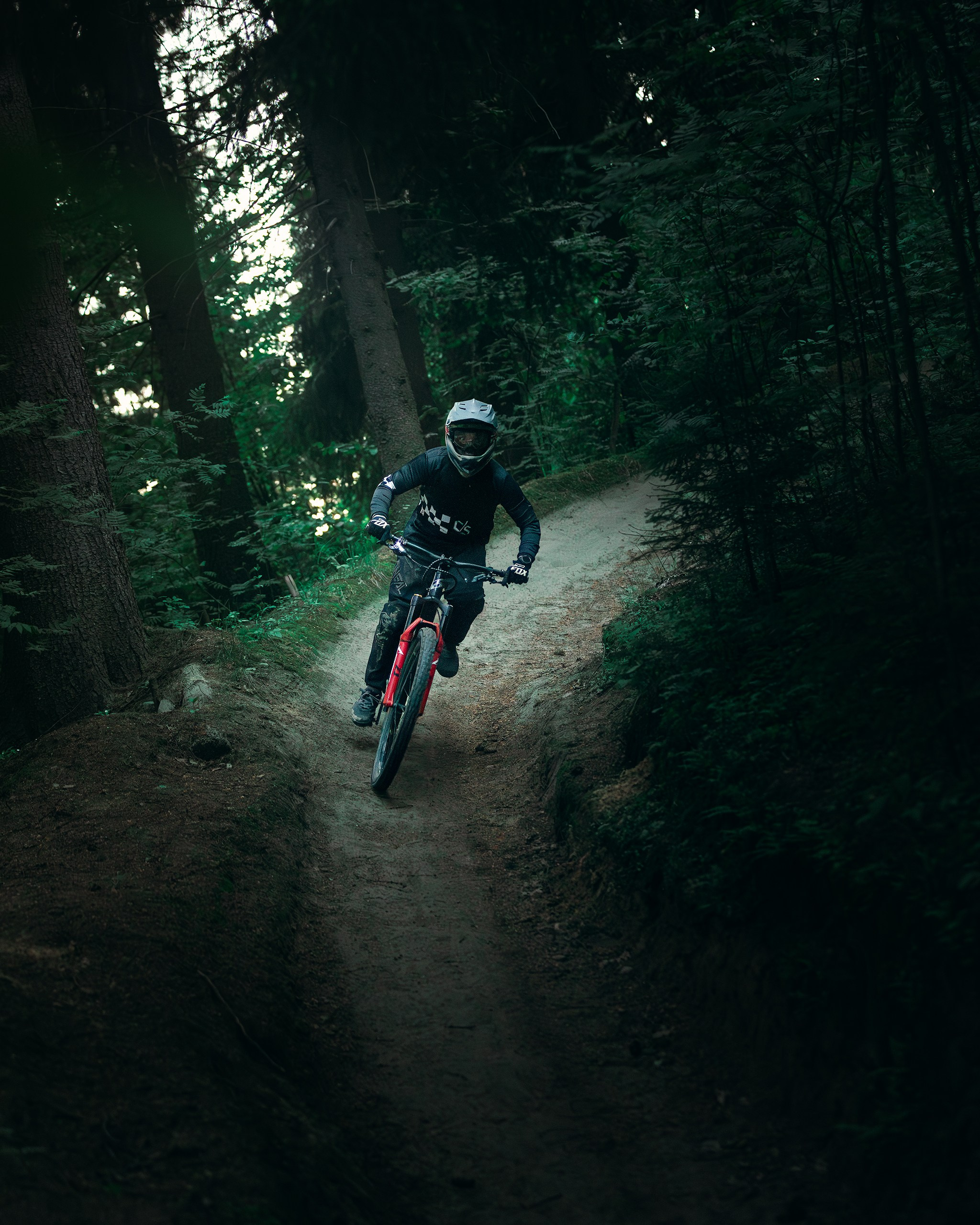 Саша и Ваня. Фотограф анималист Никита Натальный