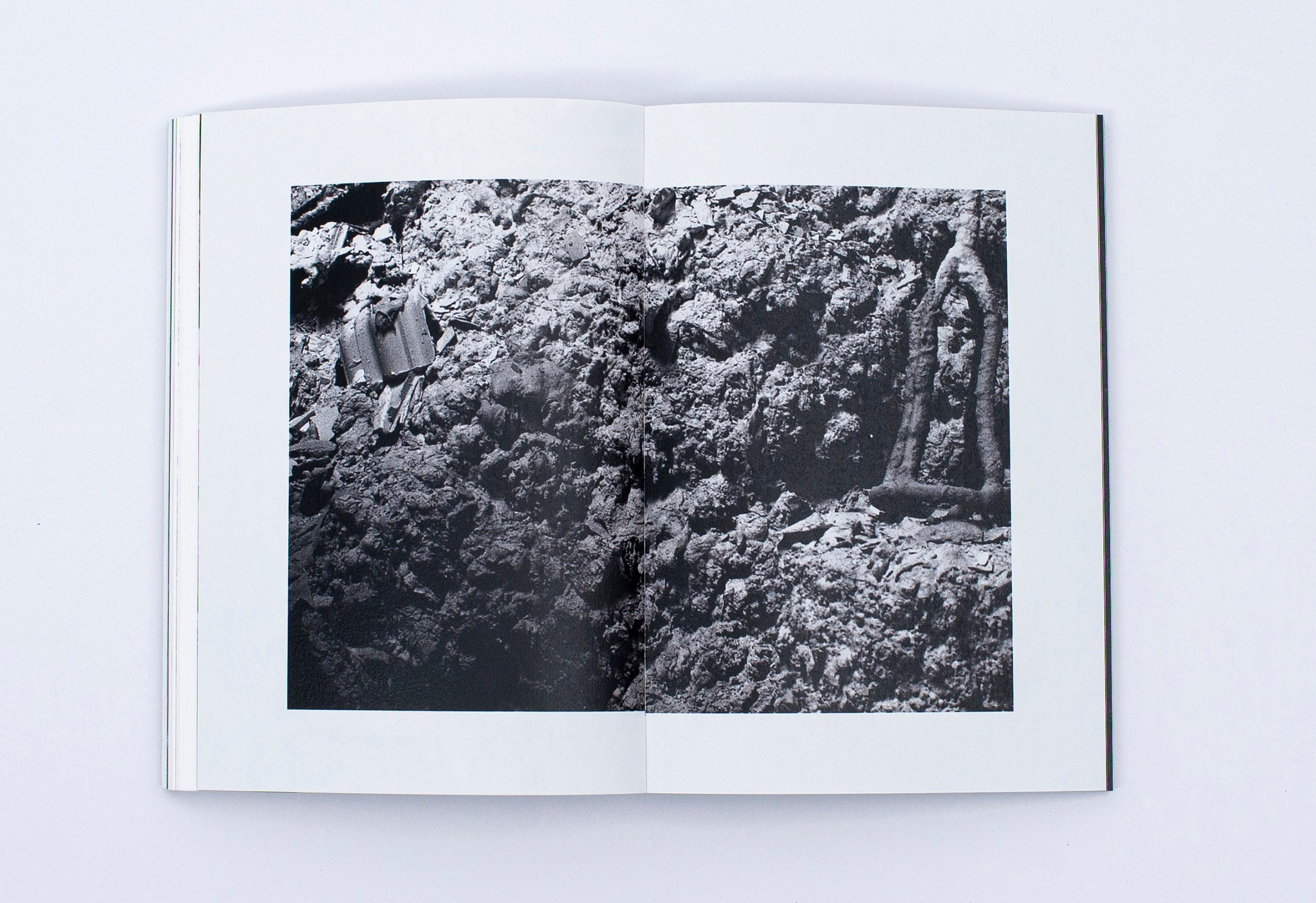 Книга. Фотограф в Москве Алейникова Евгения