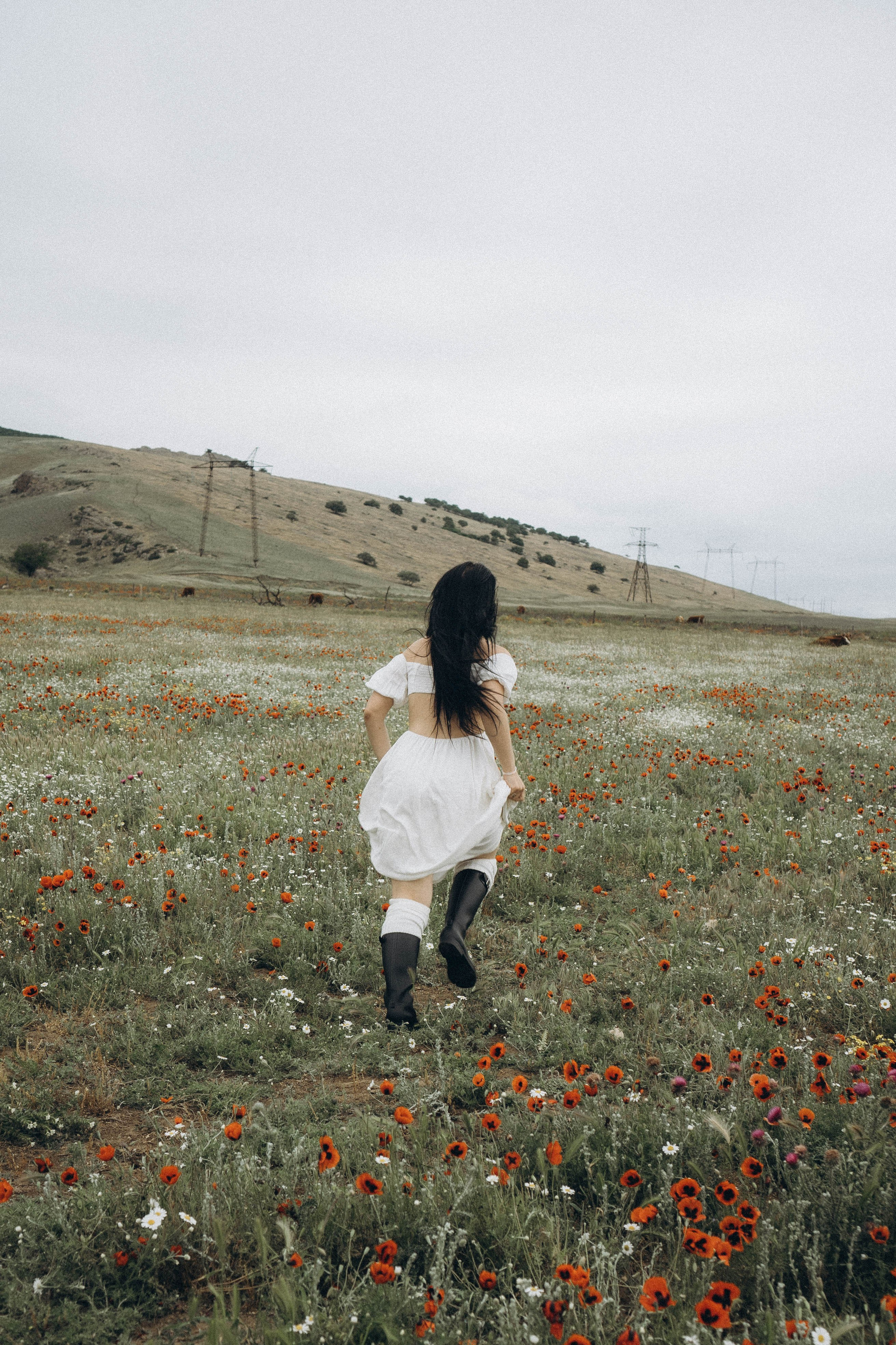 Маковое поле. Профессиональный фотограф, Санкт-Петербург — Виктория Богомолова