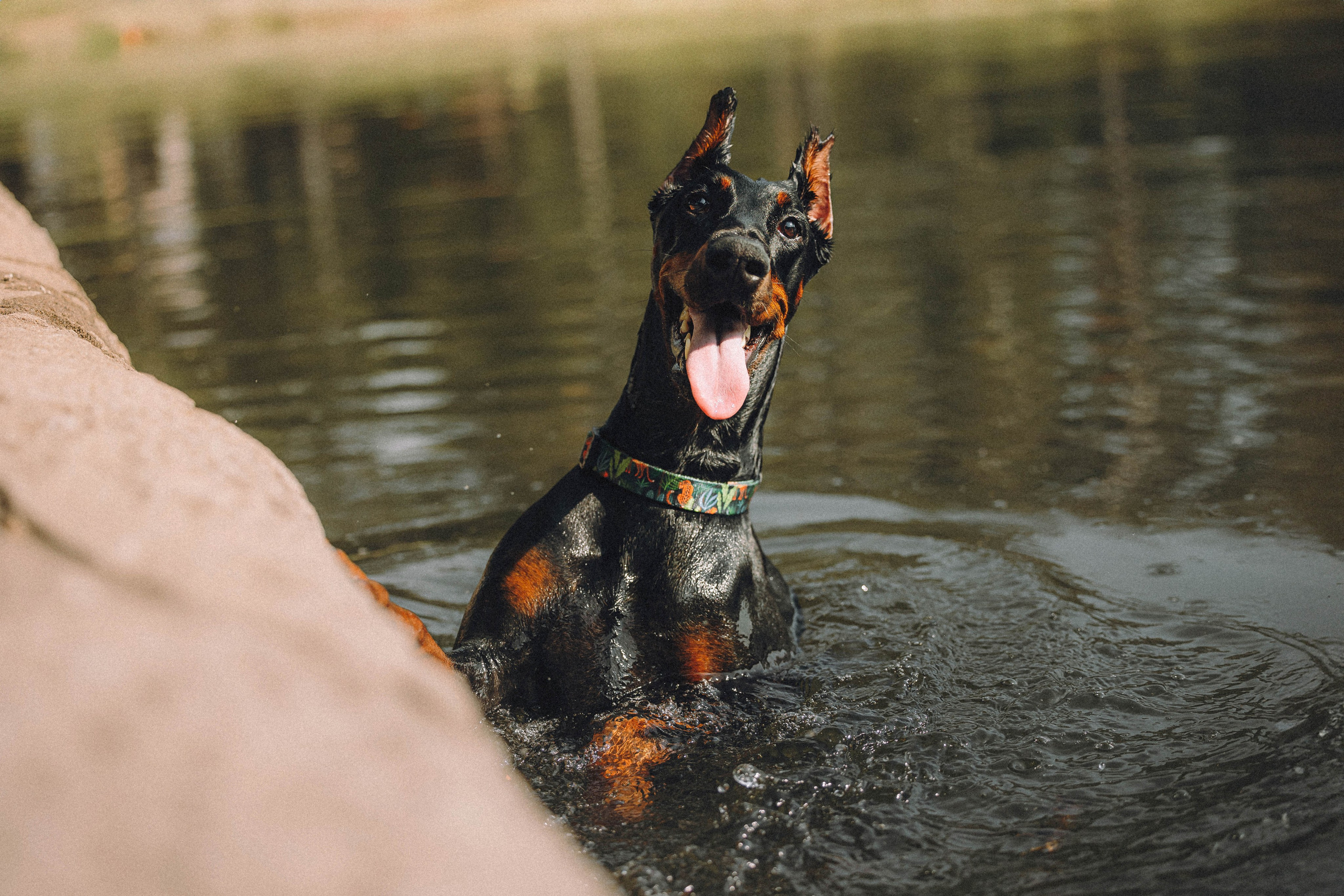 Паша и Хайди