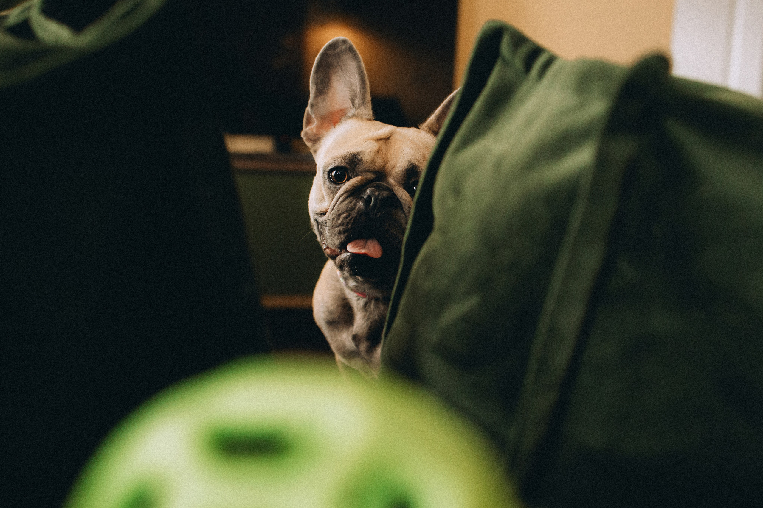 Юля, Мия и Зек