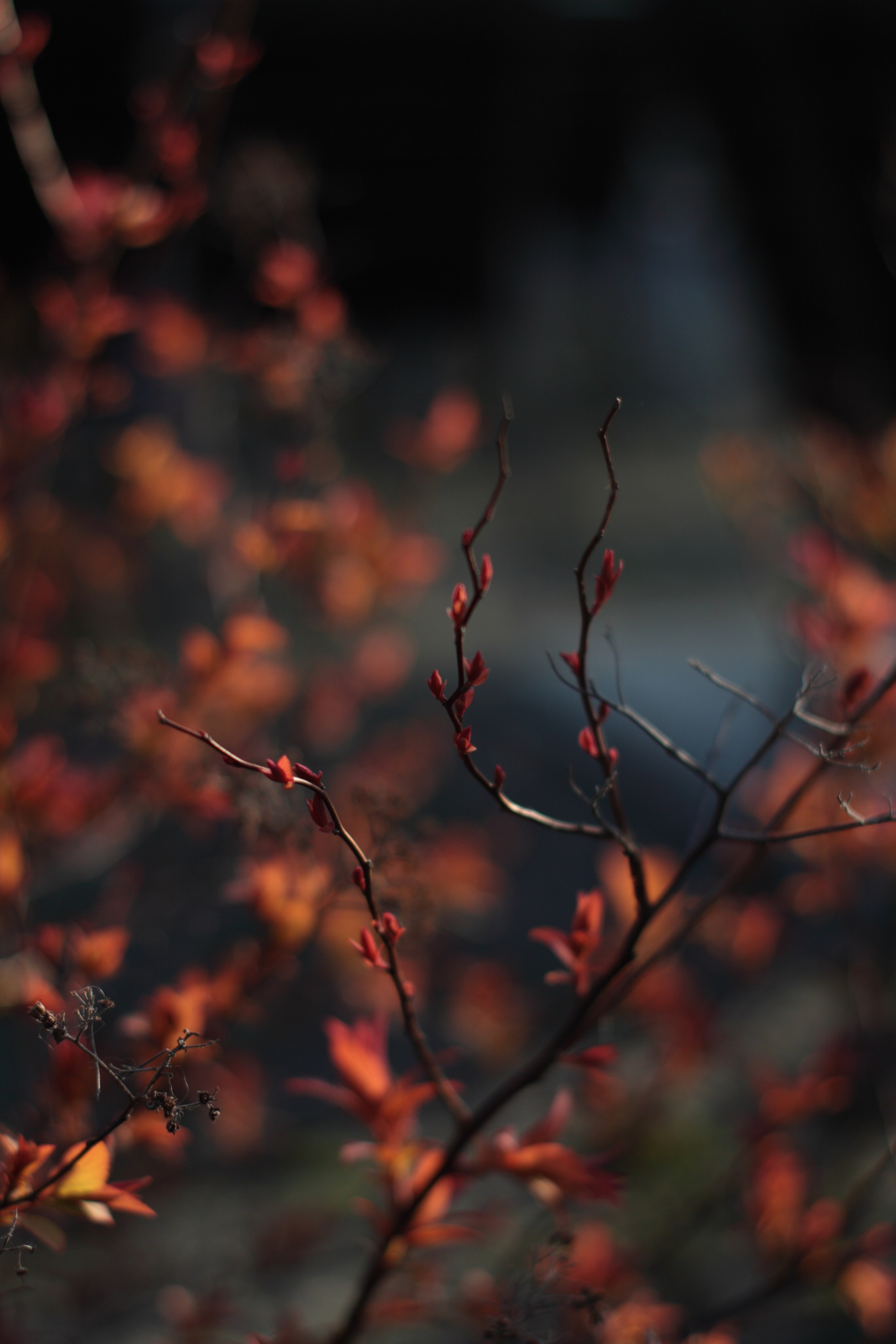 Старое природное, отбирала Katamount (Катерина Горохова). Главная