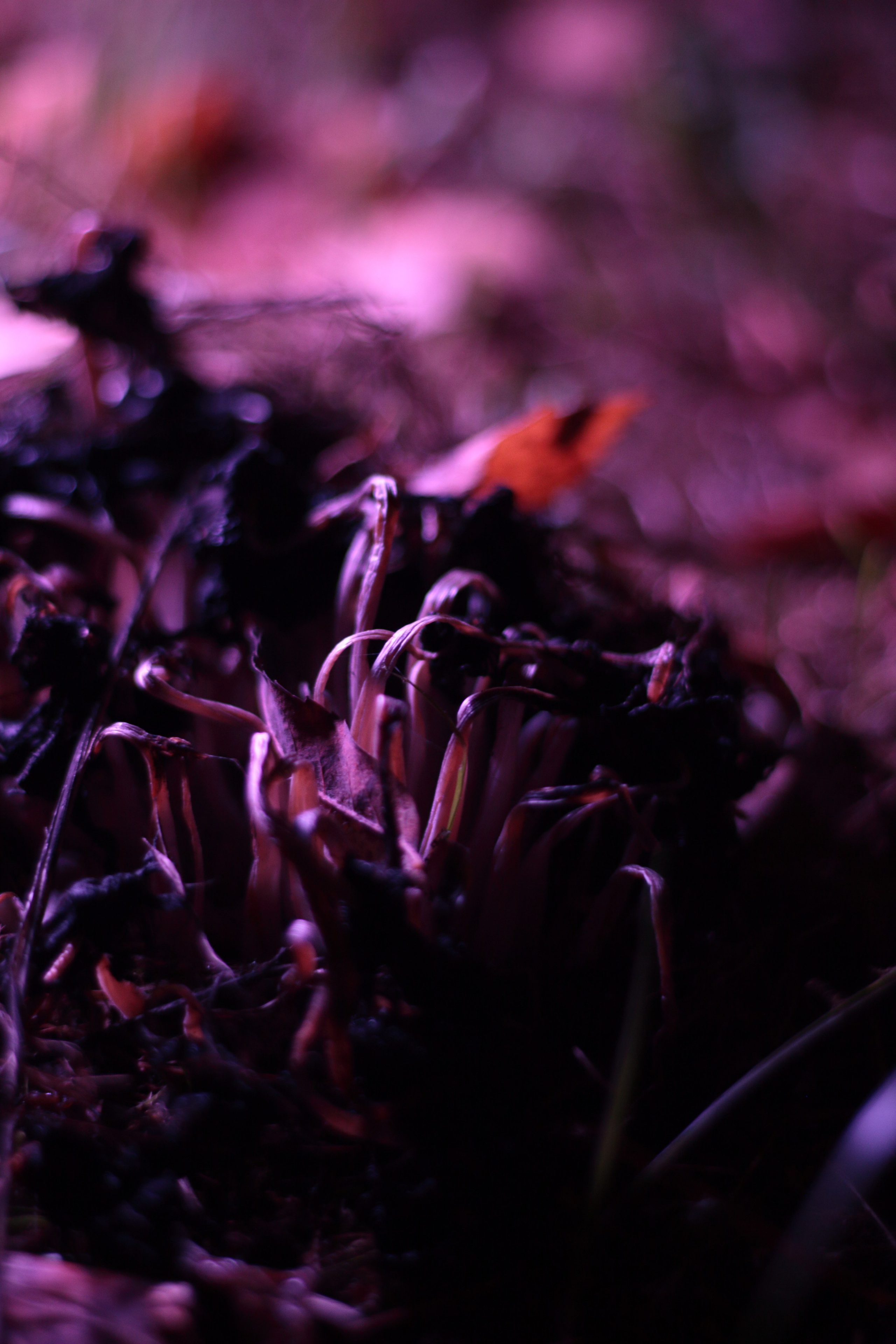 Старое природное, отбирала Katamount (Катерина Горохова). Главная