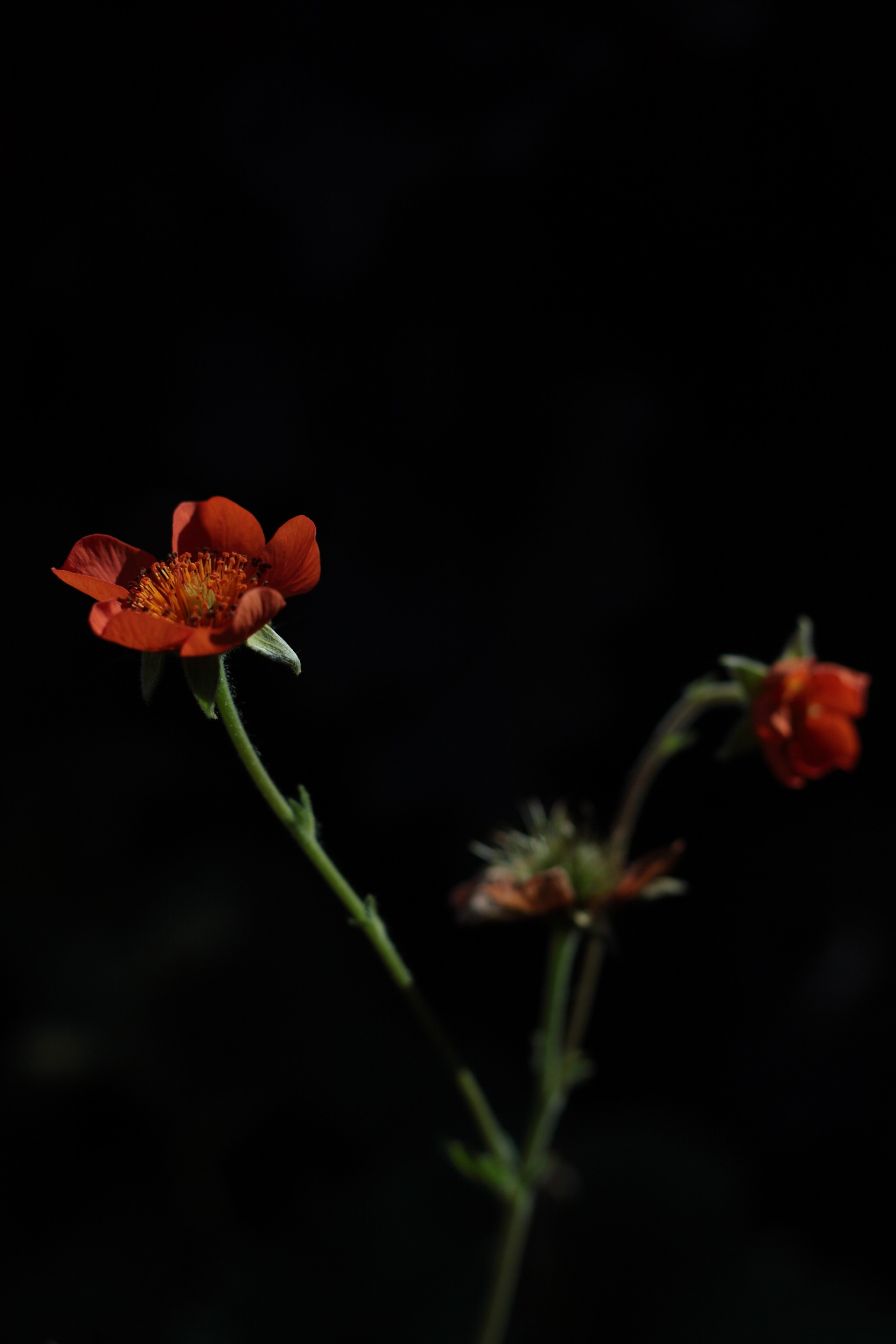 Старое природное, отбирала Katamount (Катерина Горохова). Главная