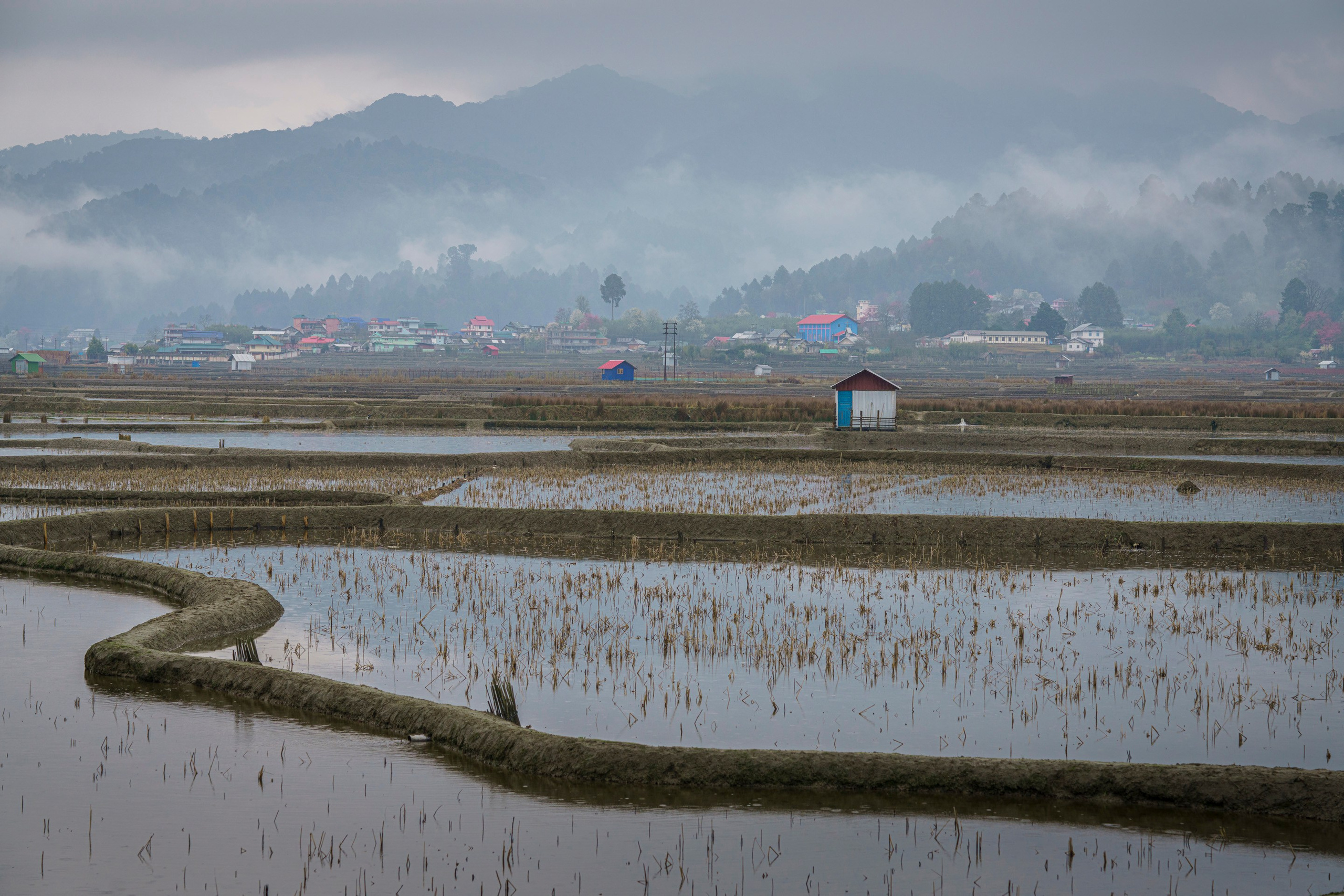 India travel. Фотограф Сергей Танков