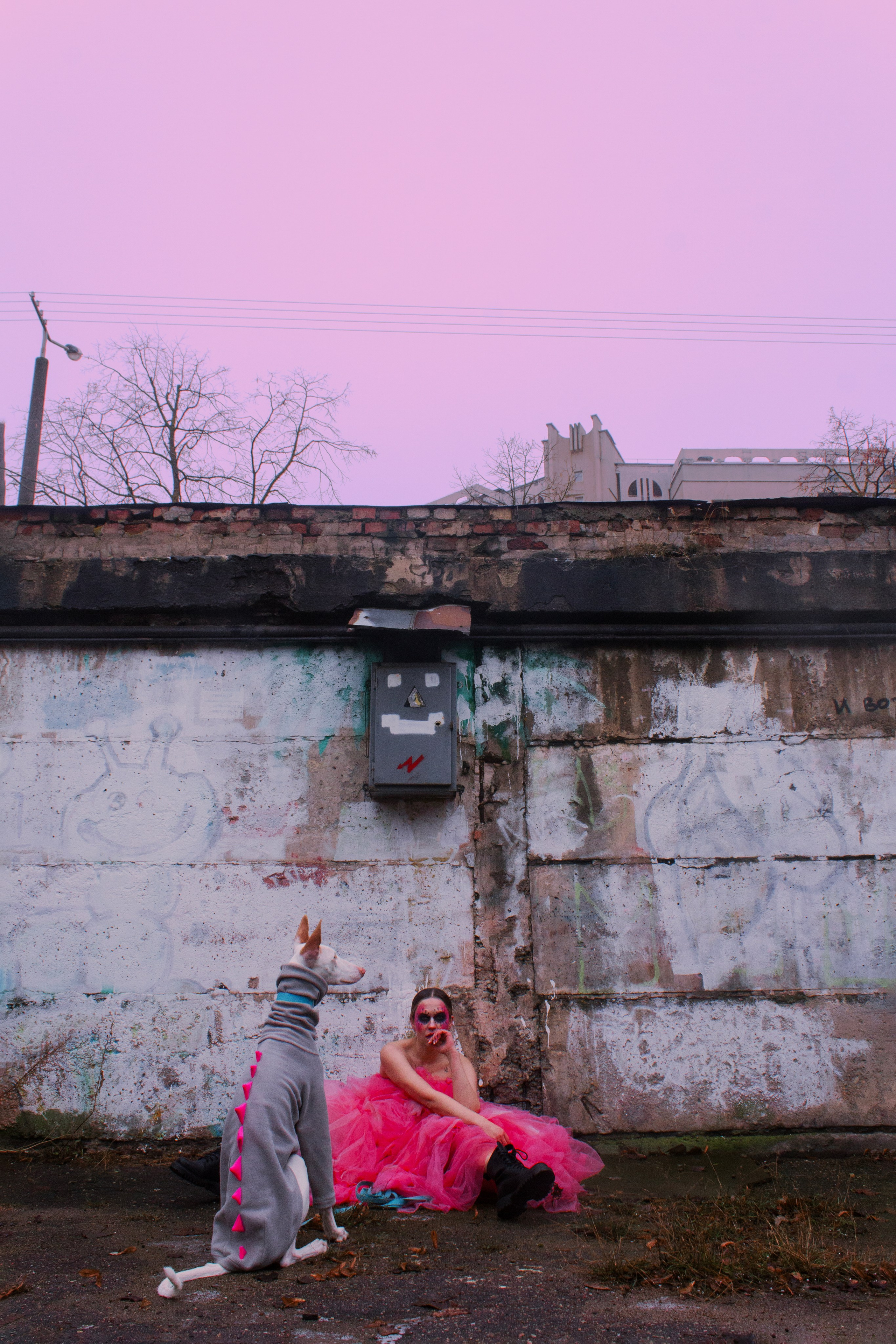 Яркая собачья жизнь