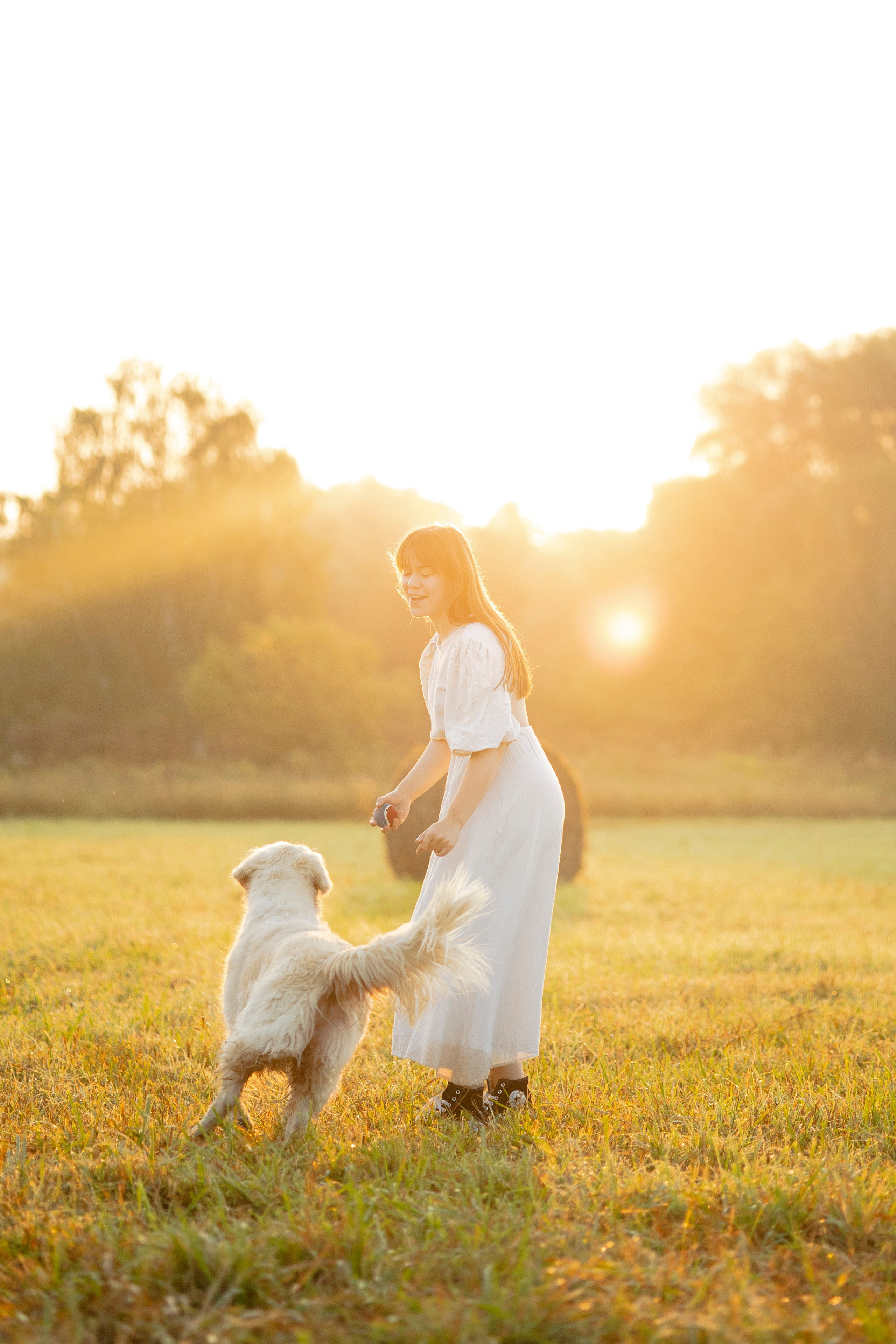 Рассветная съемка с собакой. Анастасия Белаш