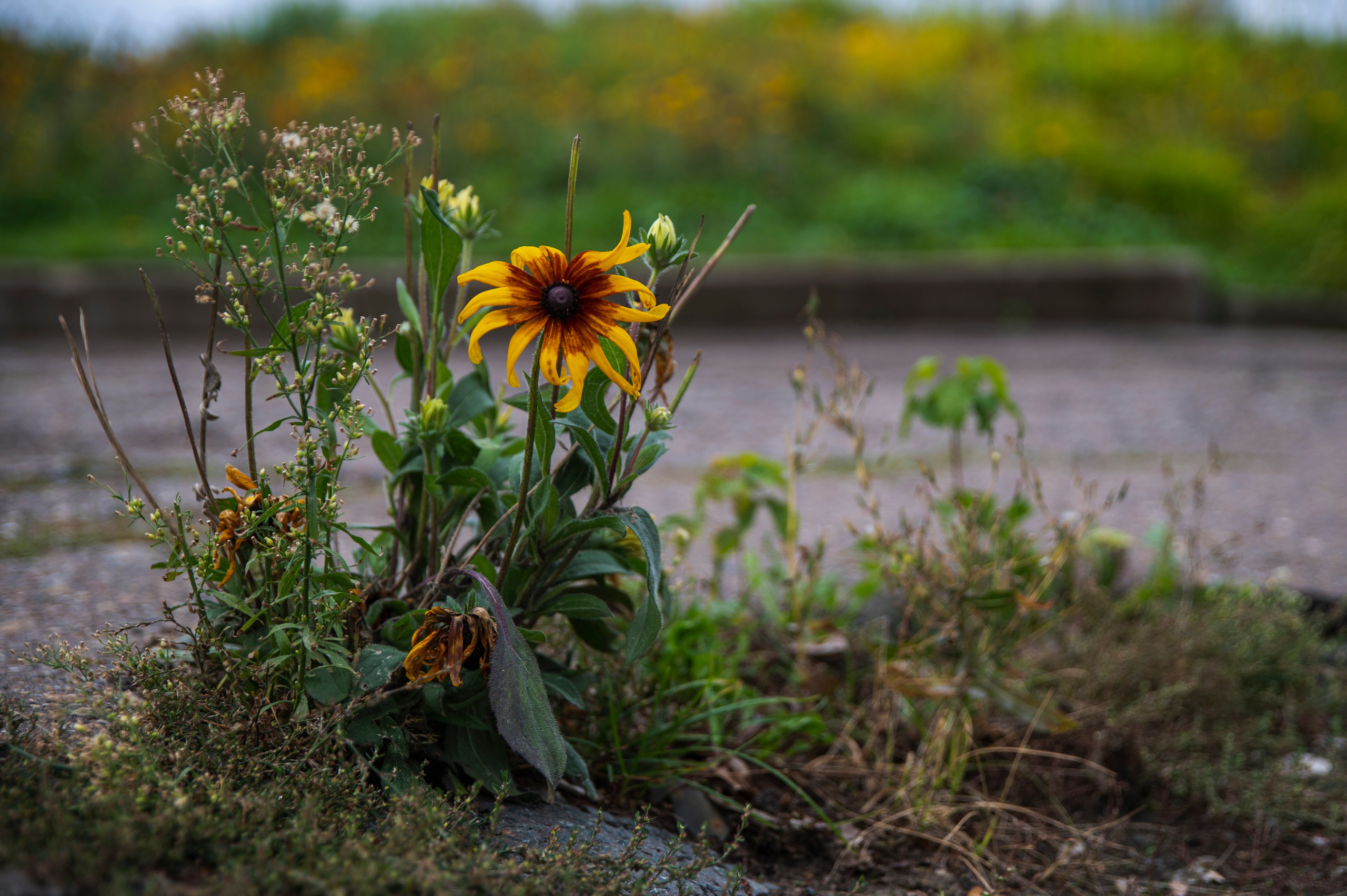 Казань. Сентябрь 2022. Фотограф Роман Адлер