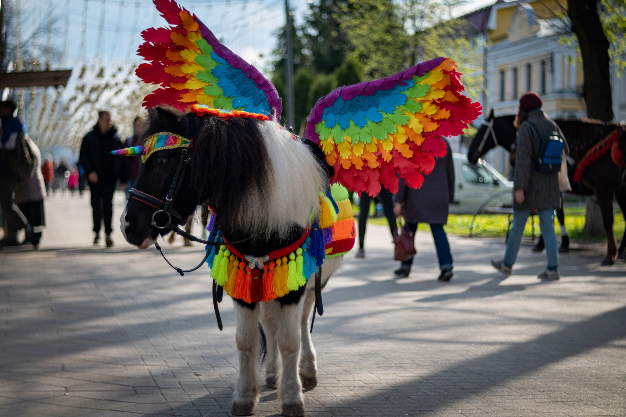 Рязань. Май 2022. Фотограф Роман Адлер