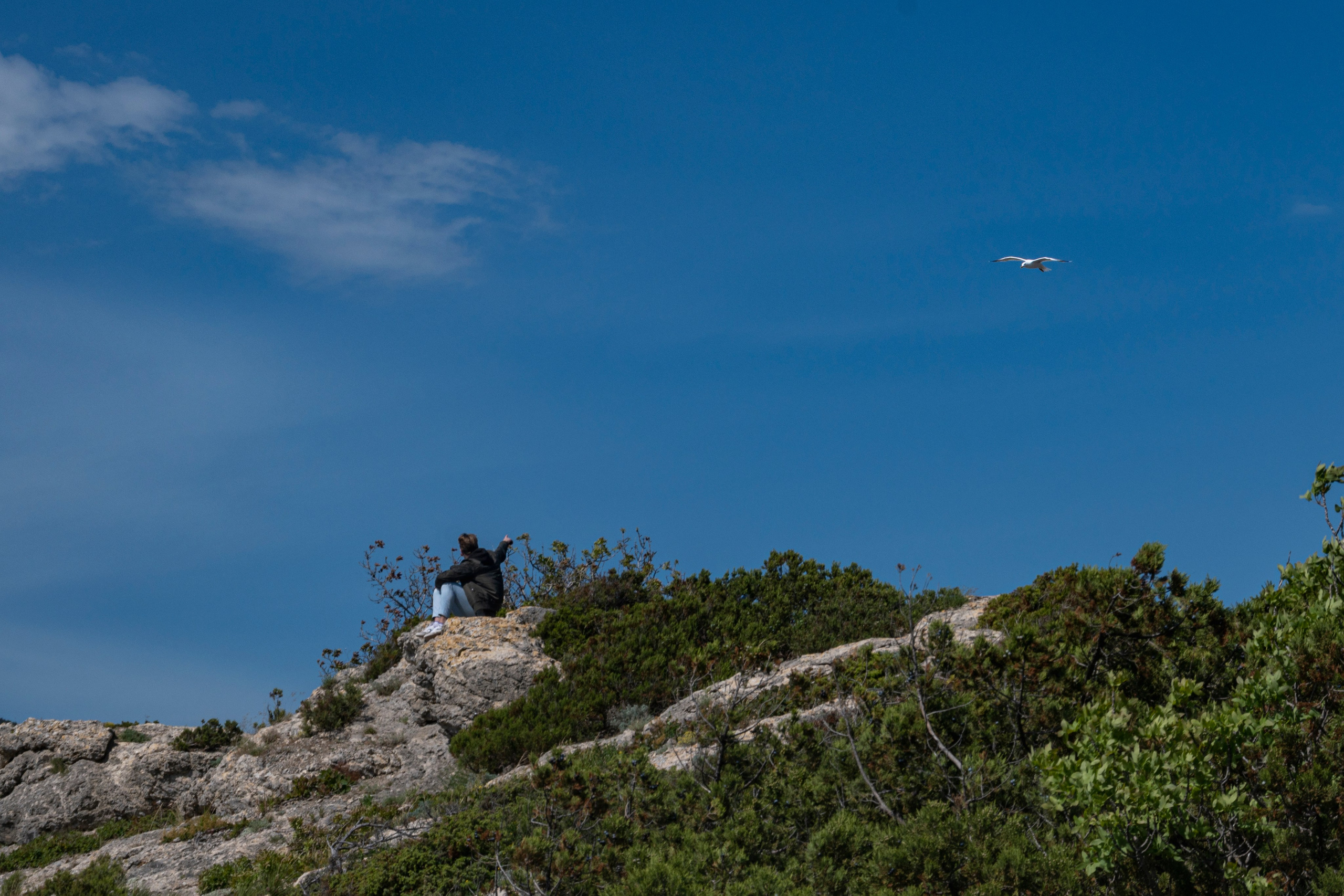 Крым май 2022. Фотограф Роман Адлер