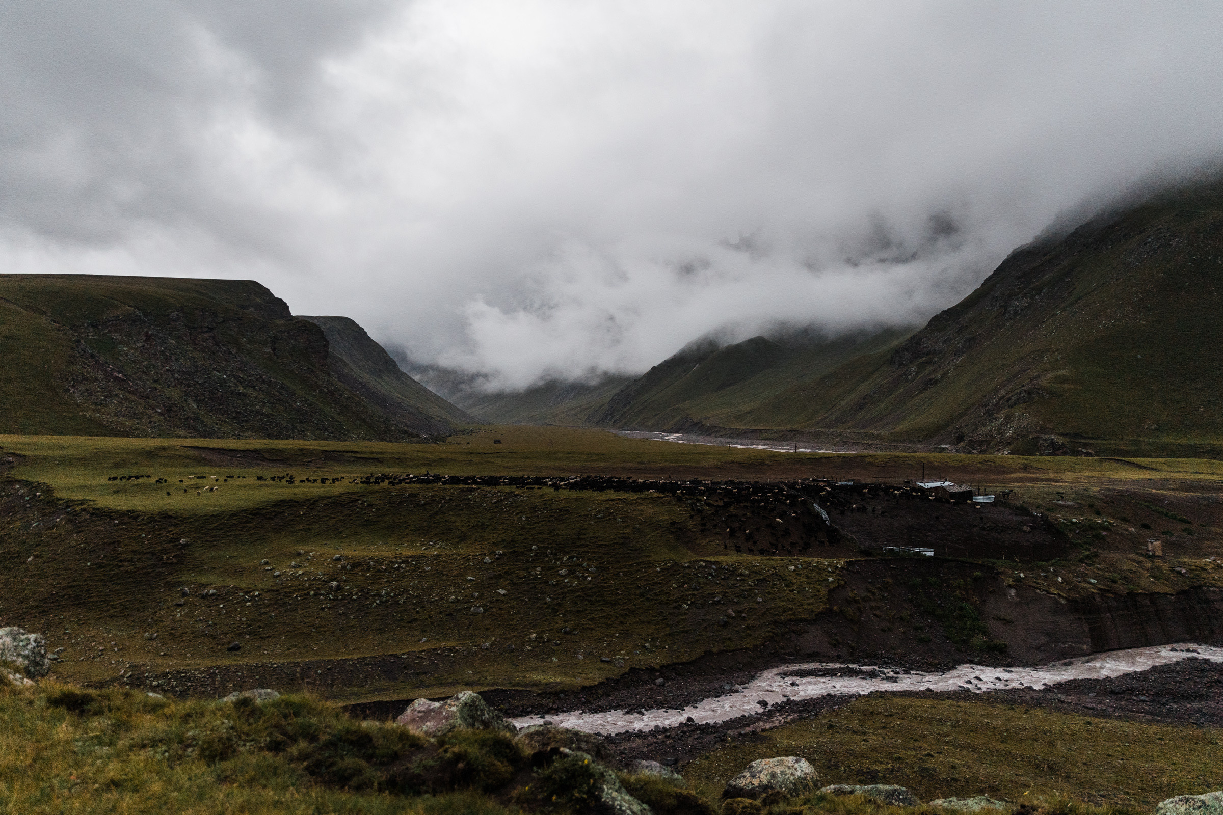Elbrus. Свадебный и семейный фотограф в Краснодаре Роман Моско