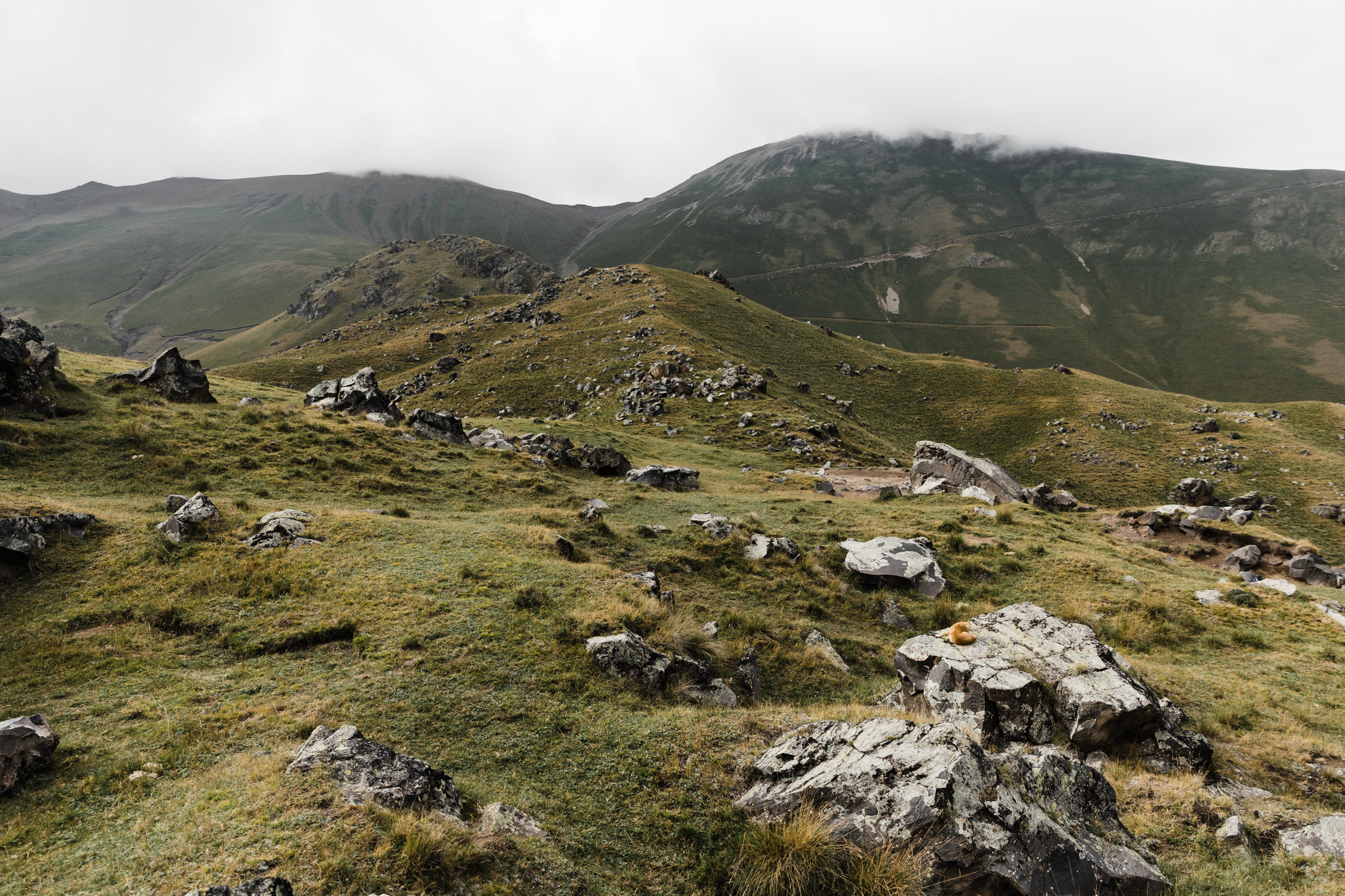 Elbrus. Свадебный и семейный фотограф в Краснодаре Роман Моско