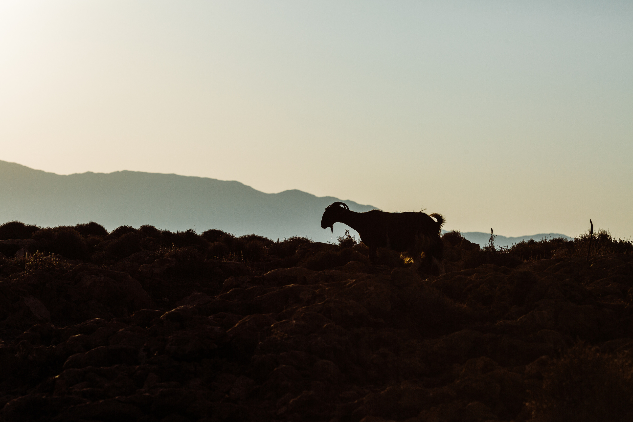 Greece. Свадебный и семейный фотограф в Краснодаре Роман Моско