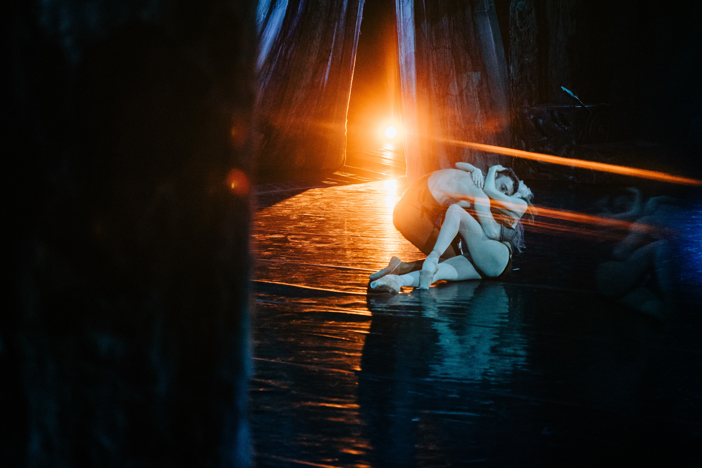 «Спартак» Балет Юрия Григоровича. Свадебный и семейный фотограф в Краснодаре Роман Моско