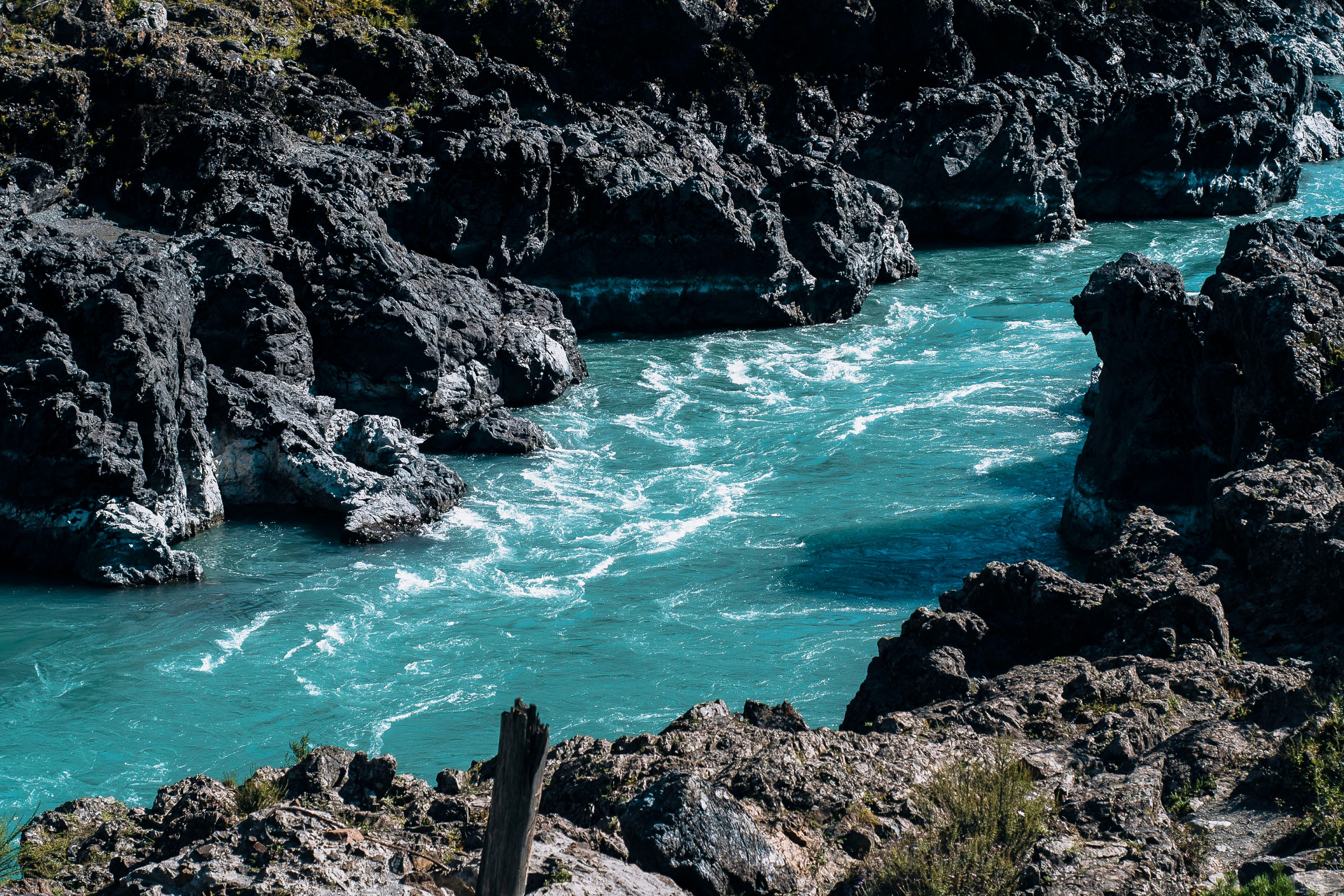 Altai landscape. Iraogo