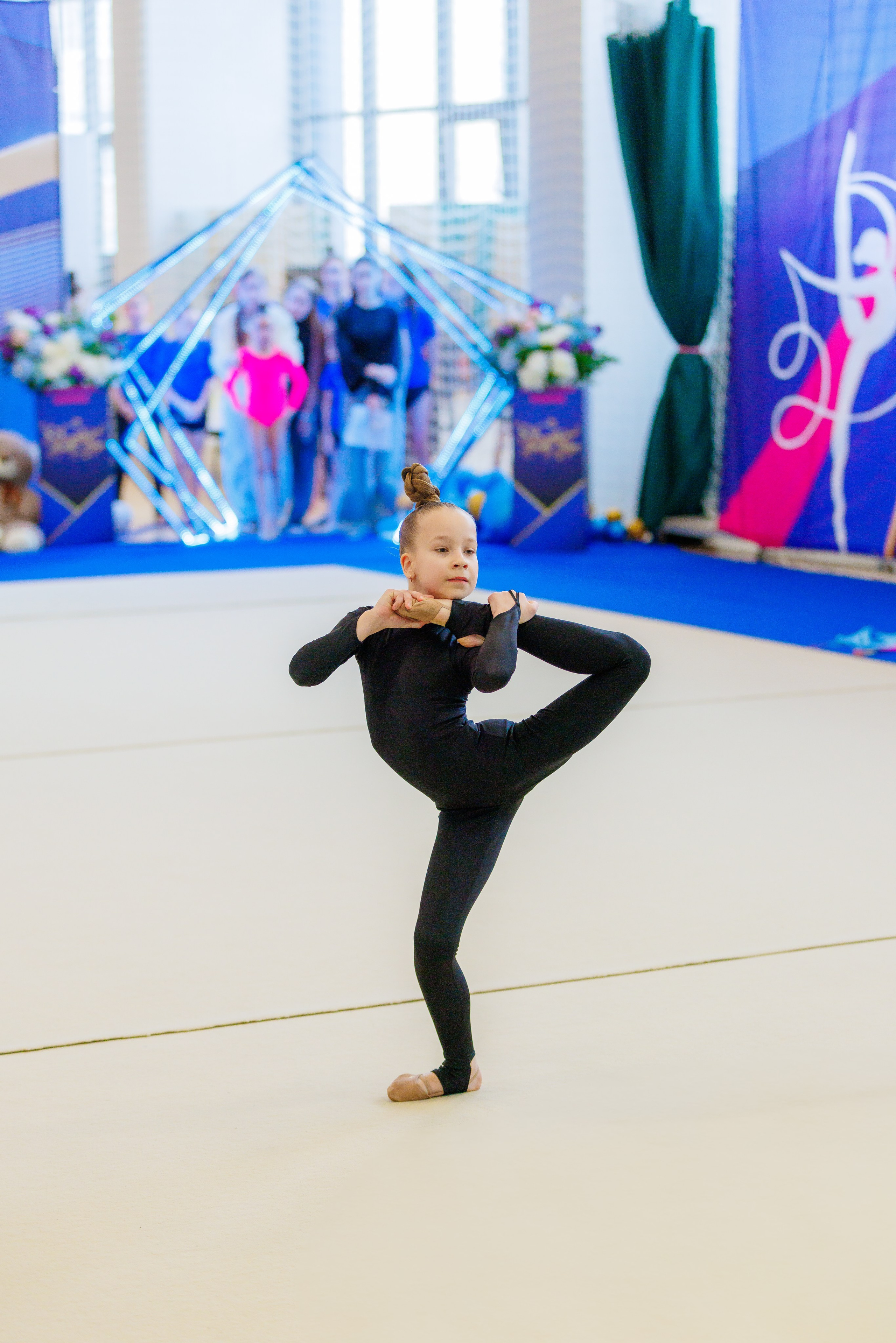 Художественная гимнастика