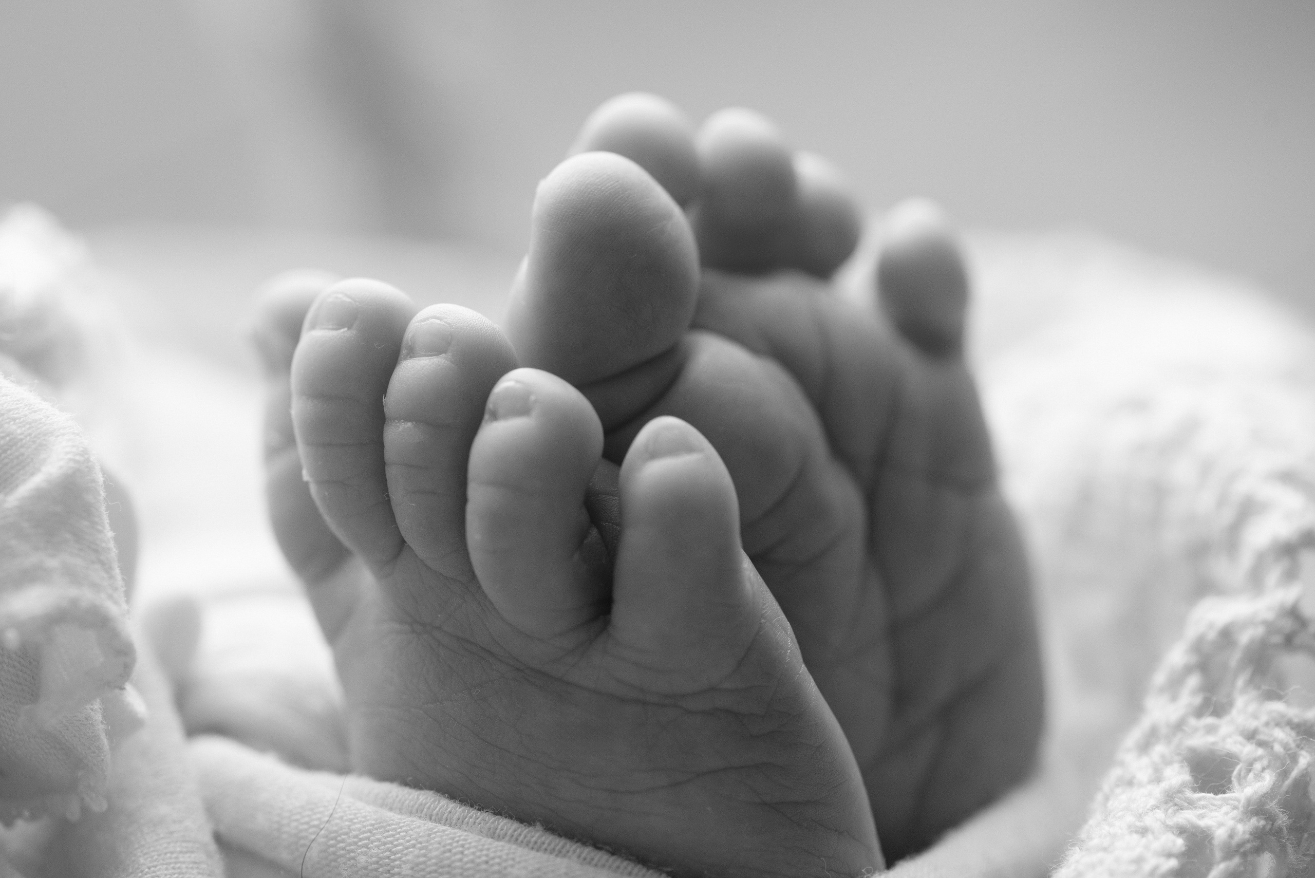 Макро. Фотограф Новорожденных во Владивостоке Ольга Галаницкая