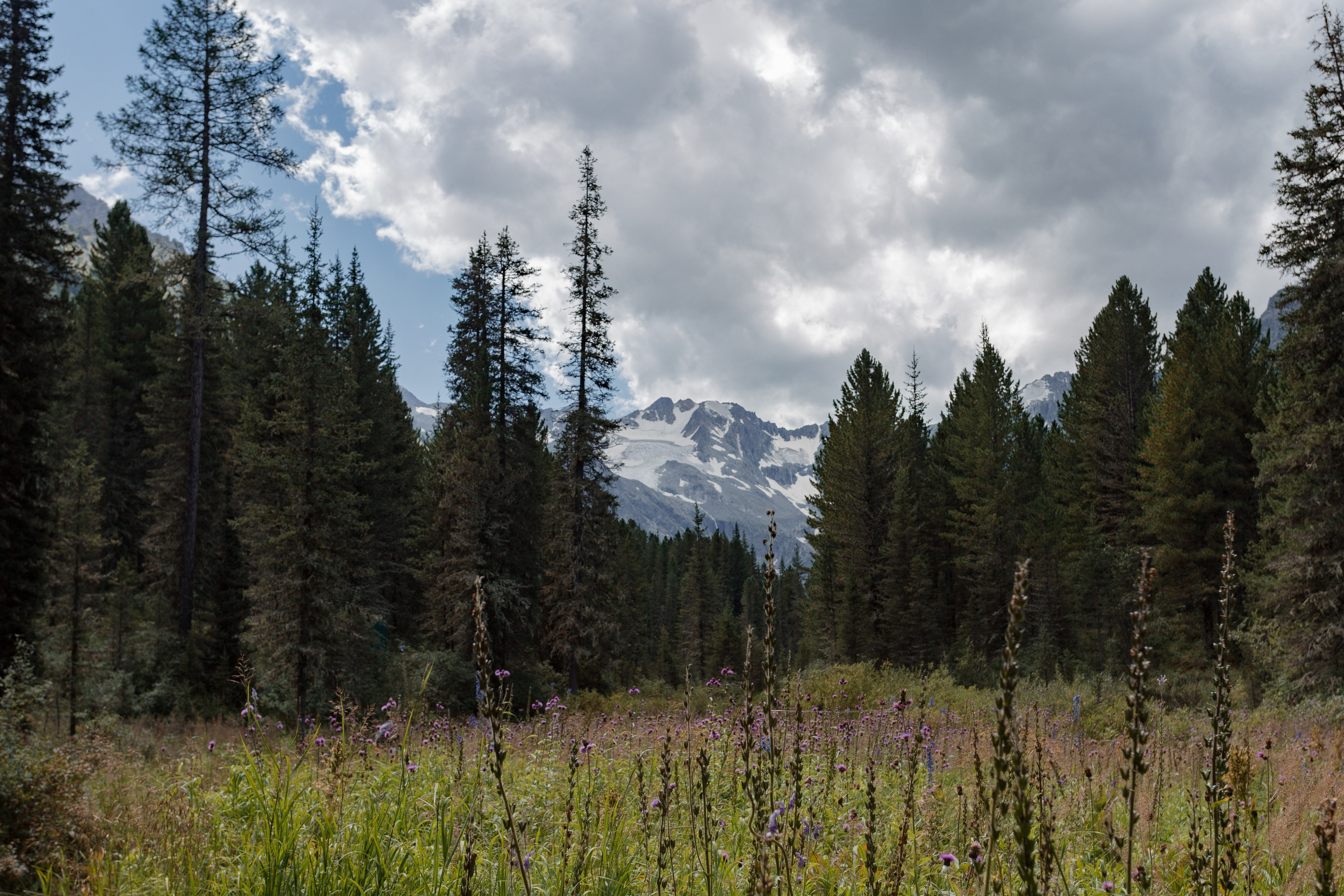 Катунский заповедник, Республика Алтай. Репортажный фотограф в Крыму Ксения Гасица