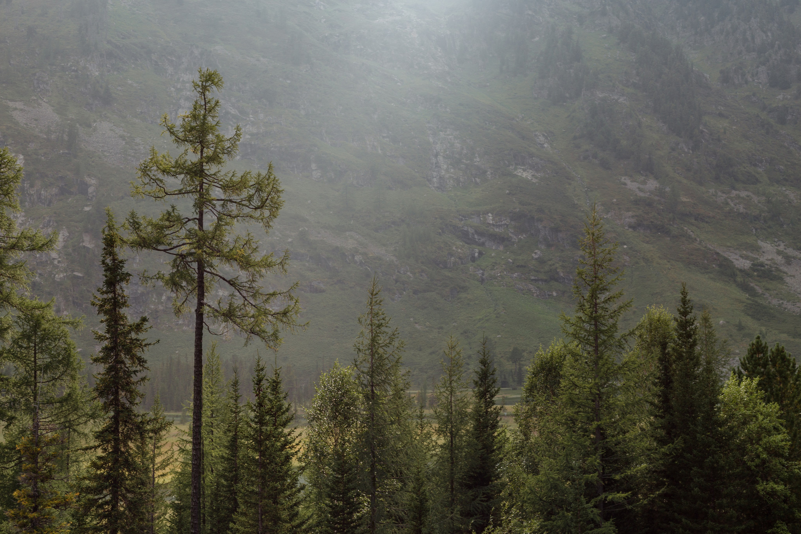 Катунский заповедник, Республика Алтай. Репортажный фотограф в Крыму Ксения Гасица