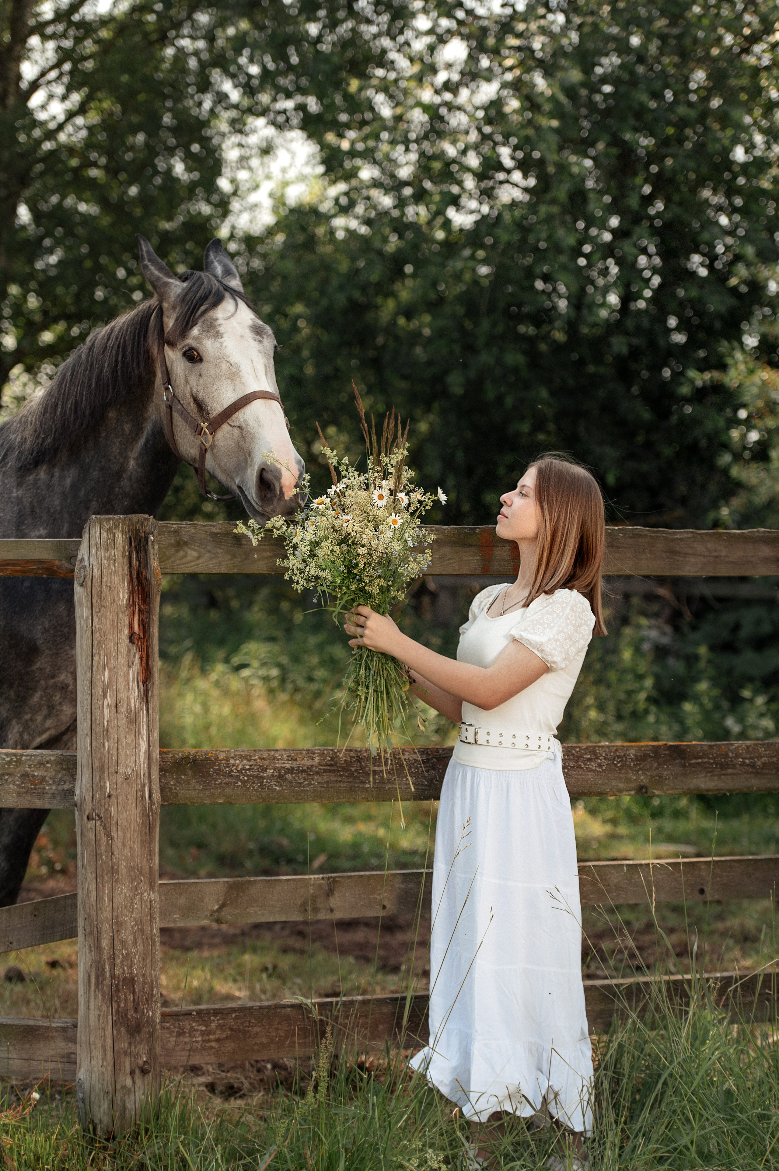 Фотосессии с лошадьми. Фотограф Евгения Соколова