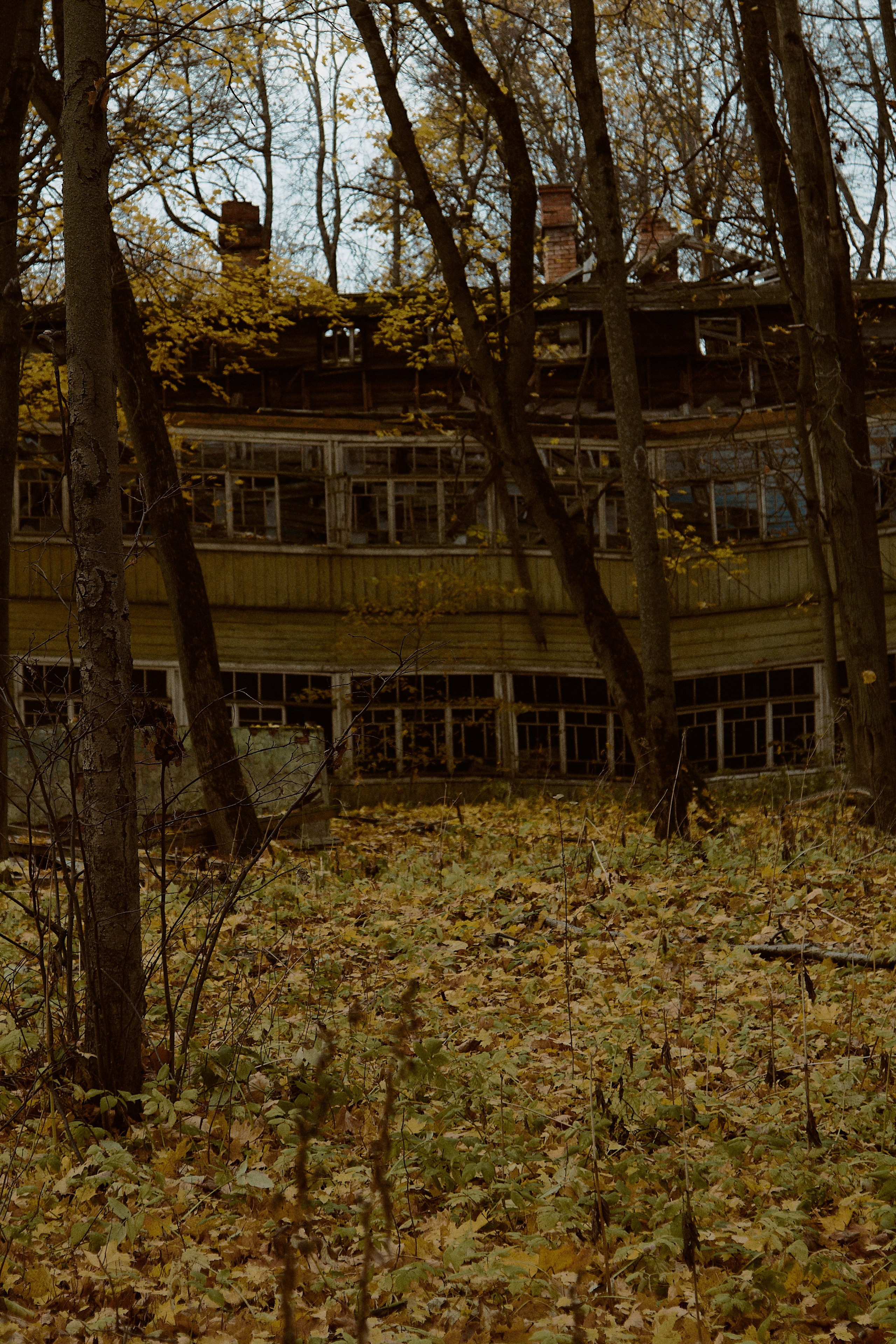 Русская сказка. Фотограф лавстори Москва/МО Приятелева Ангелина