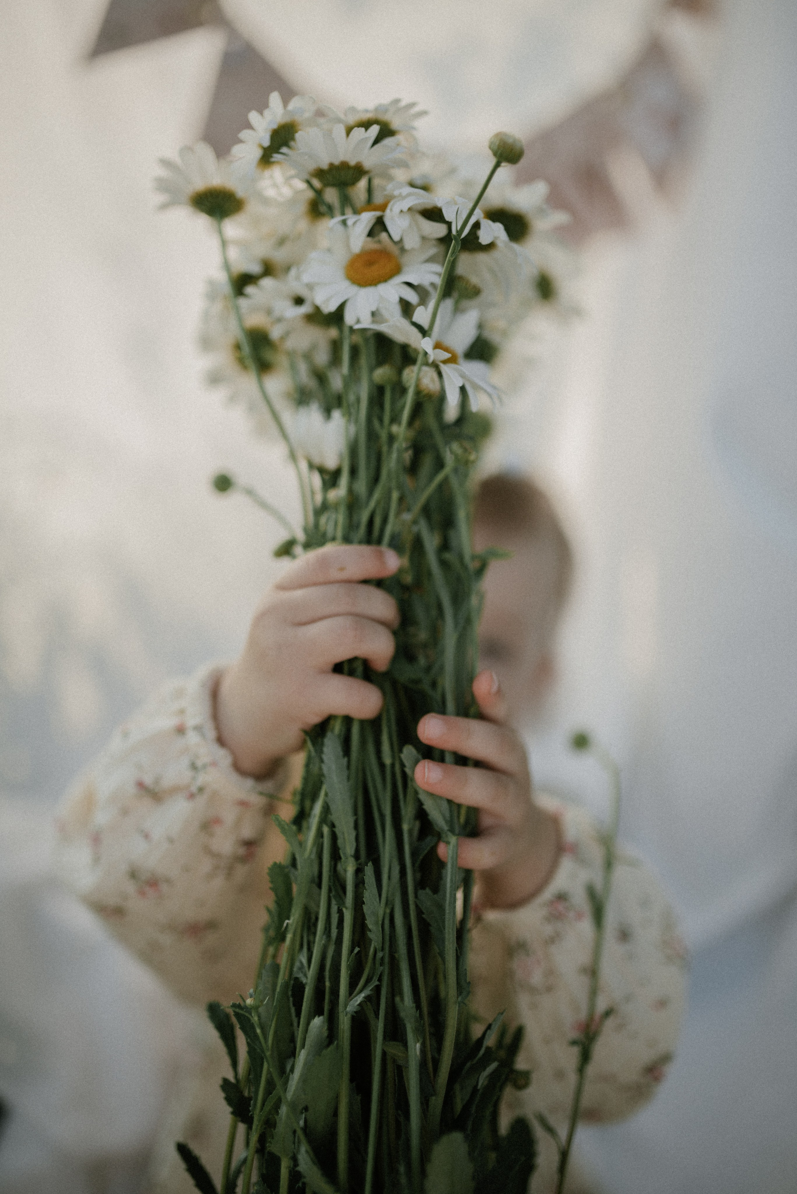 Ида, Мира и ромашки. Свадебный и семейный фотограф Кожевникова Лариса