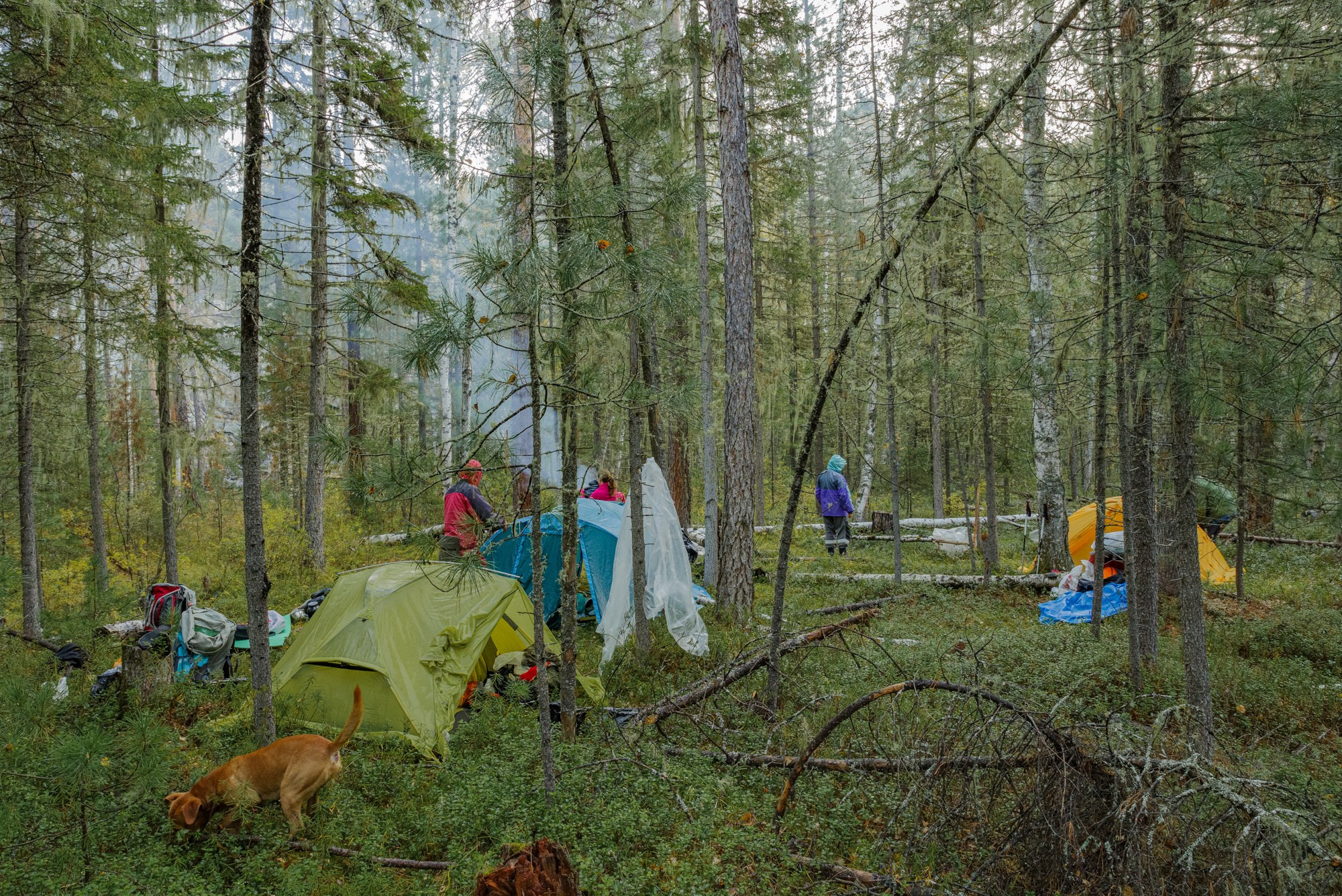 Пейзажи. Семейный и свадебный фотограф в Иркутске Максим Жигалов