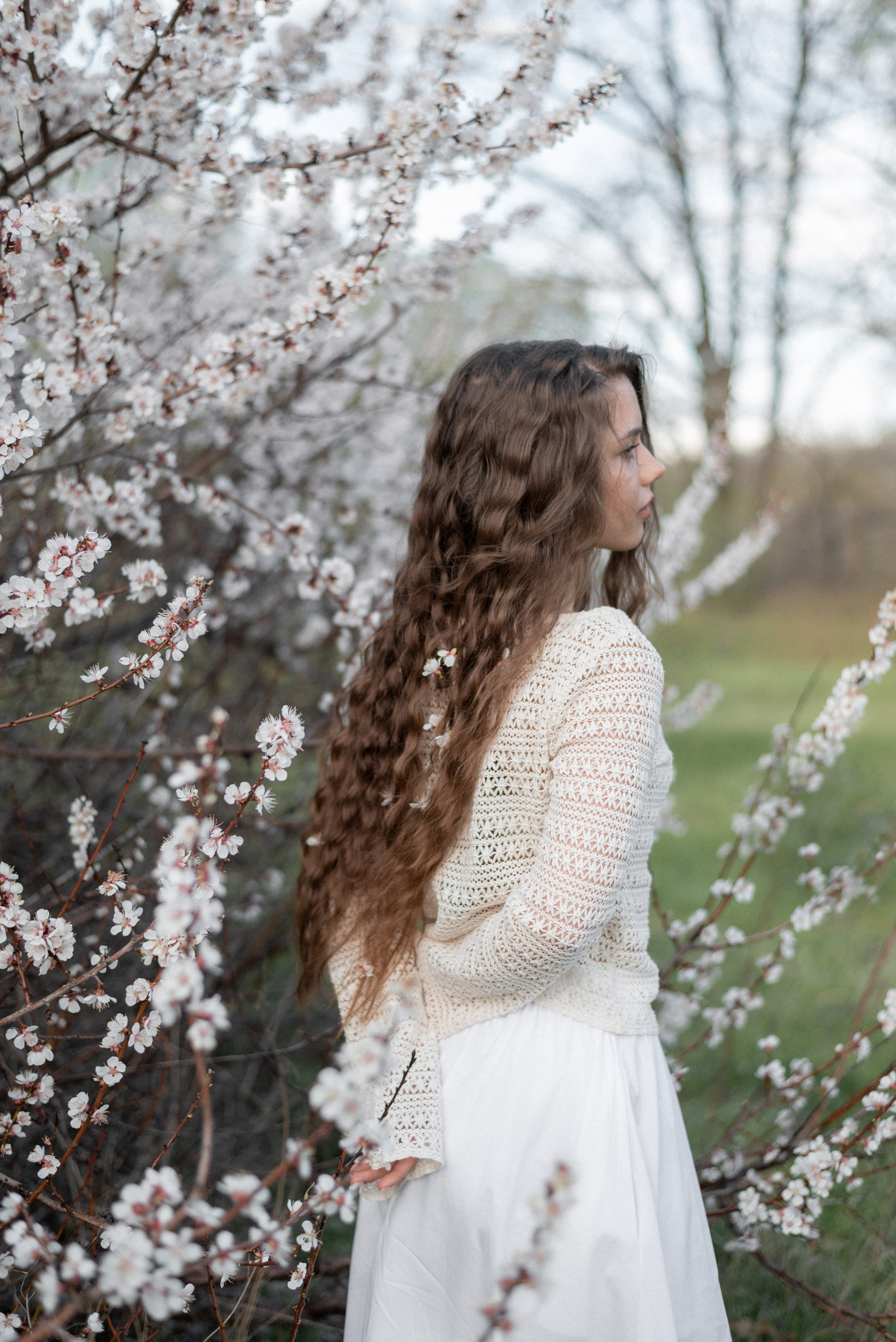 Алина. Семейный фотограф Ирина Сгибнева
