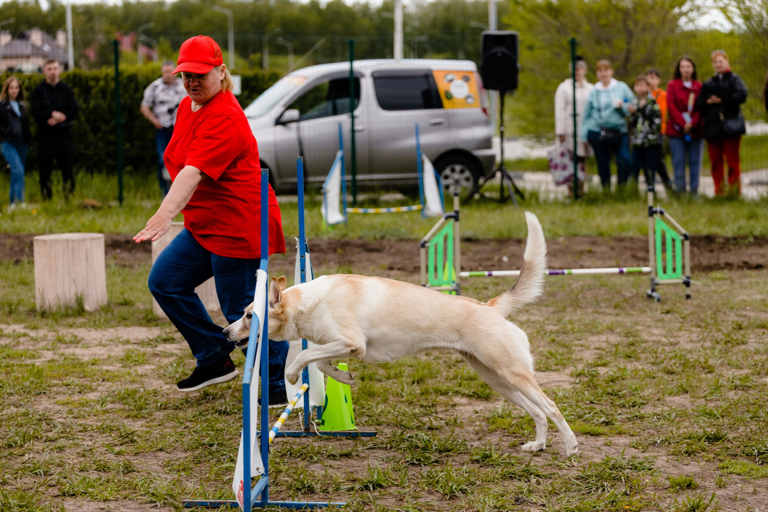 МЕГА | Фестиваль. Свадебный и репортажный фотограф в Омске. Червоткин Никита