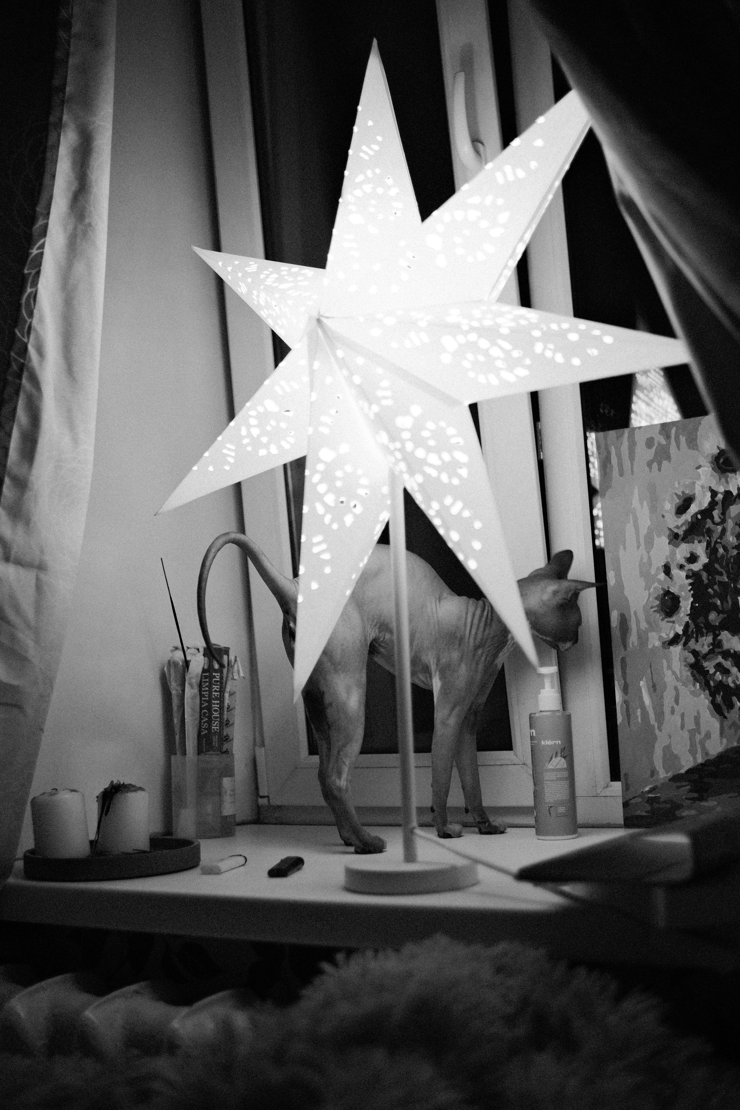 Под плёнку. Михаил Долганов