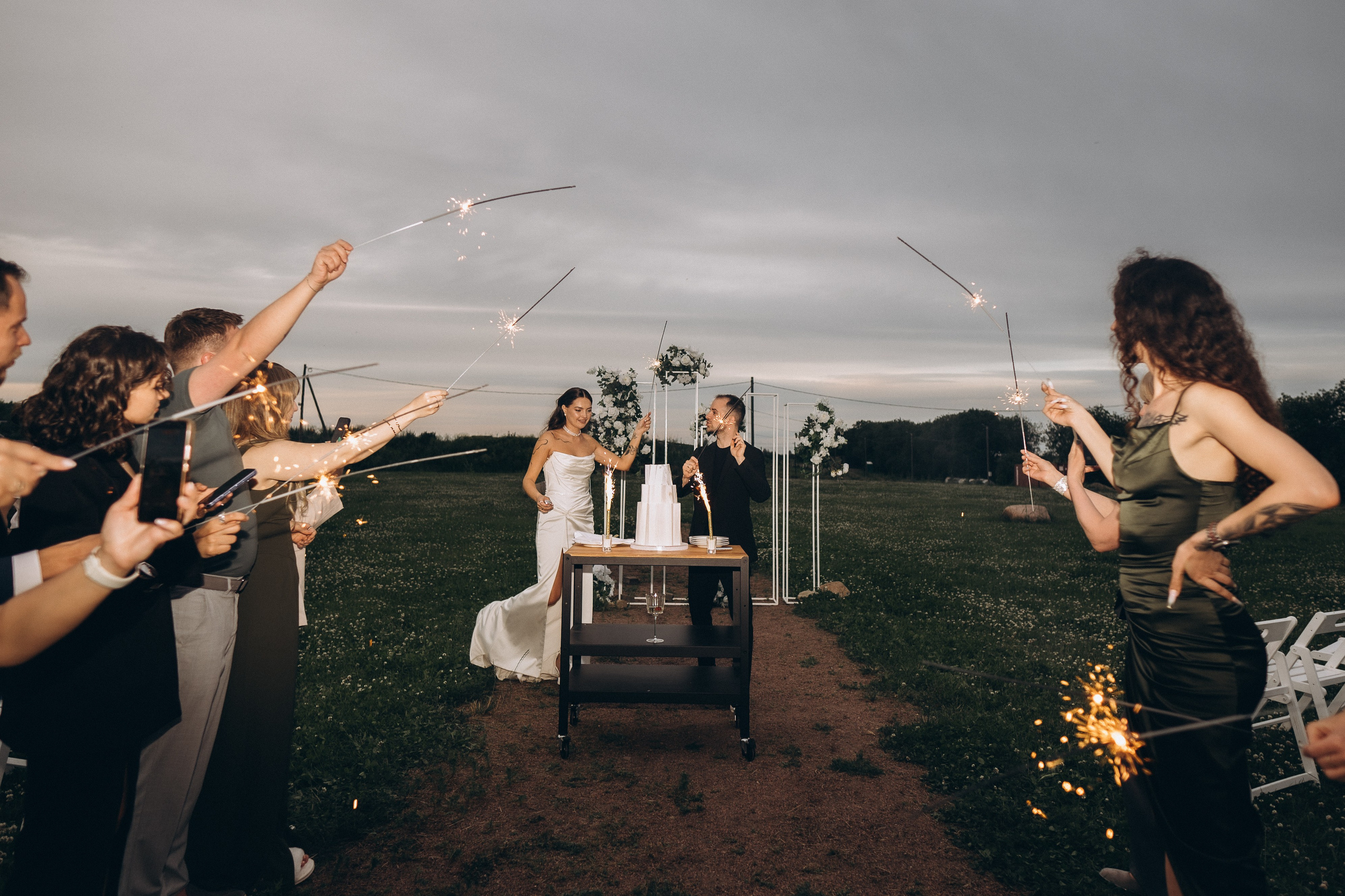 Выездная регистрация+банкет. Фотограф ПИТЕР СПБ Надежда Баранова