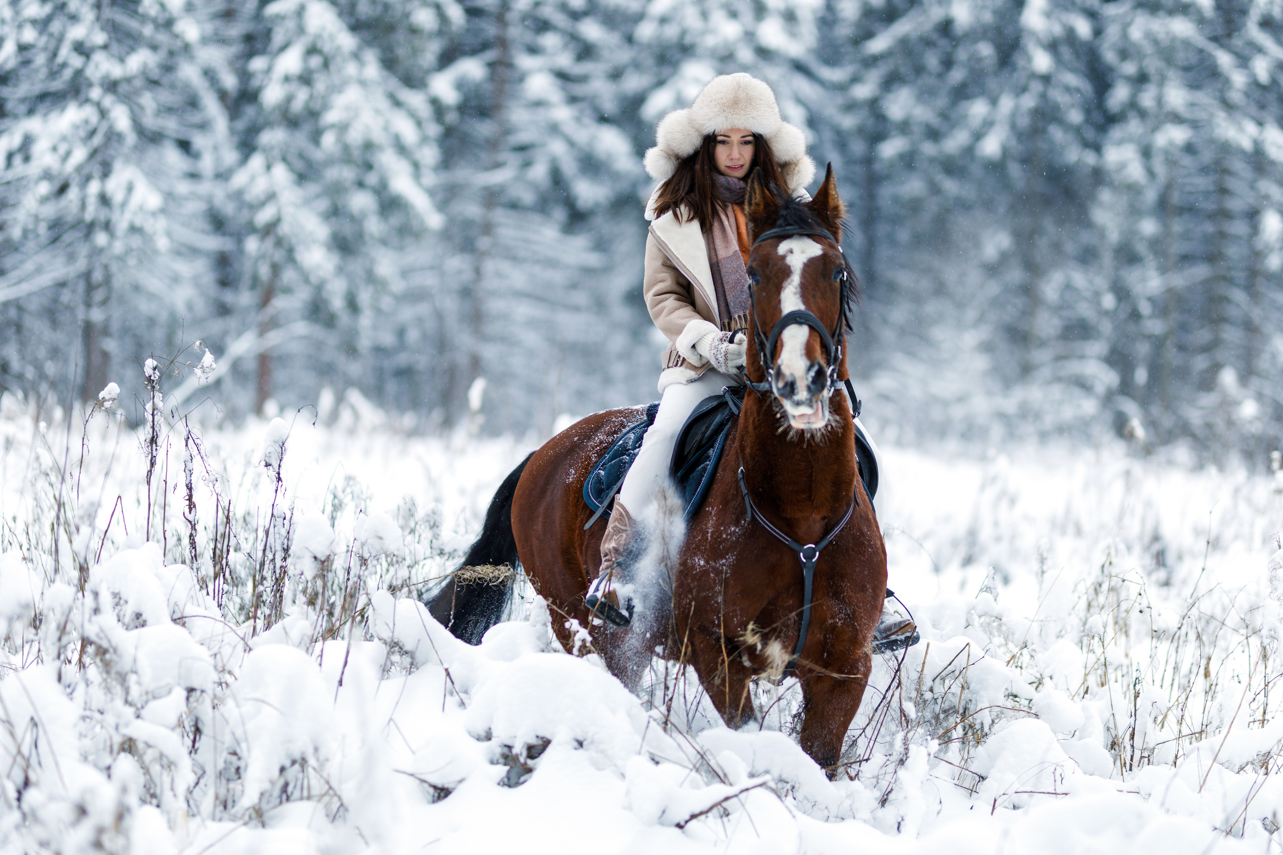 Фото-прогулки. Фотограф в Москве Алёна Гладкова